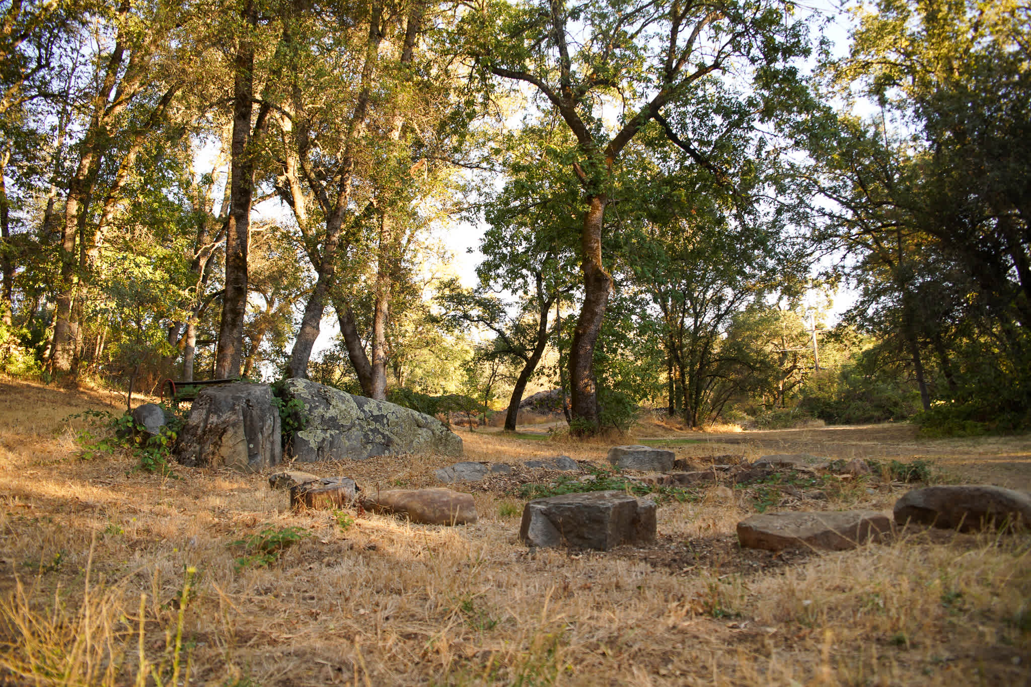 Firepit Area 