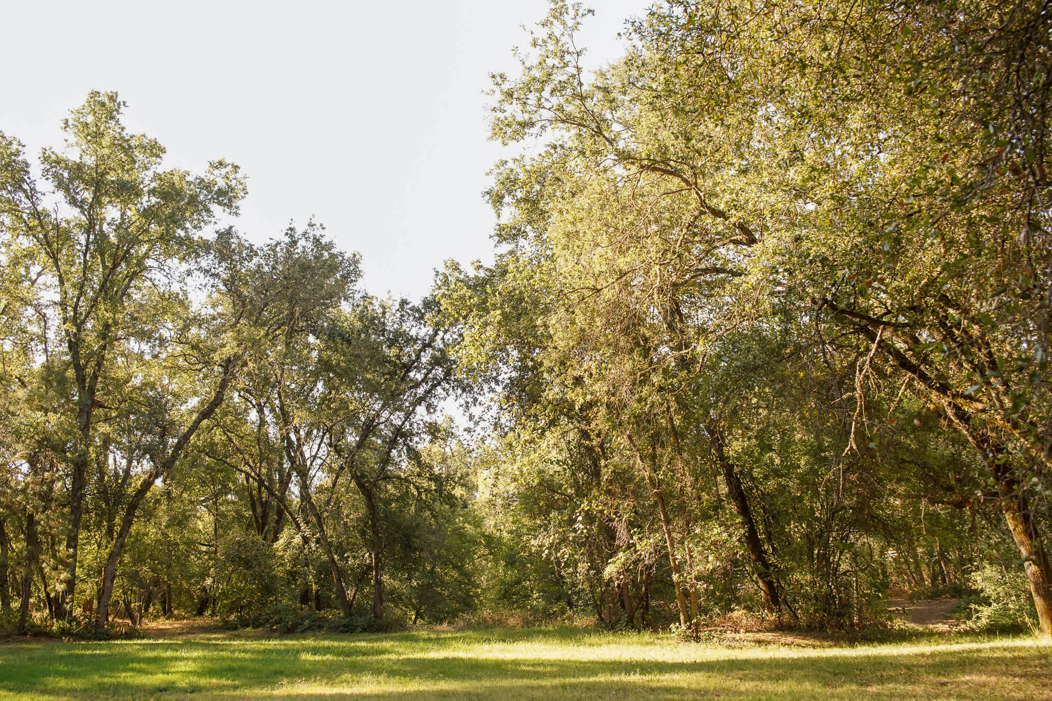 Site 4 / 3 