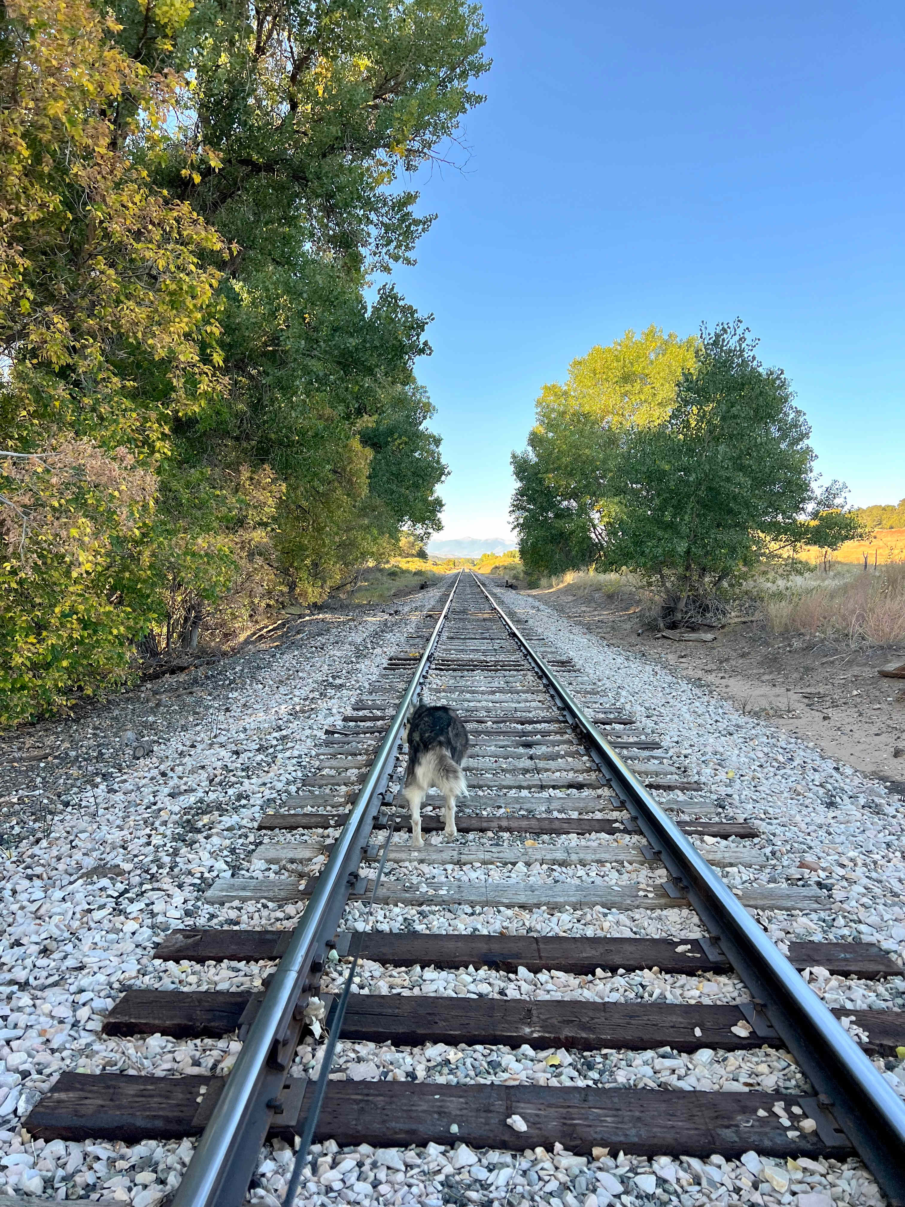 Railroad track in front of property- we never saw a train