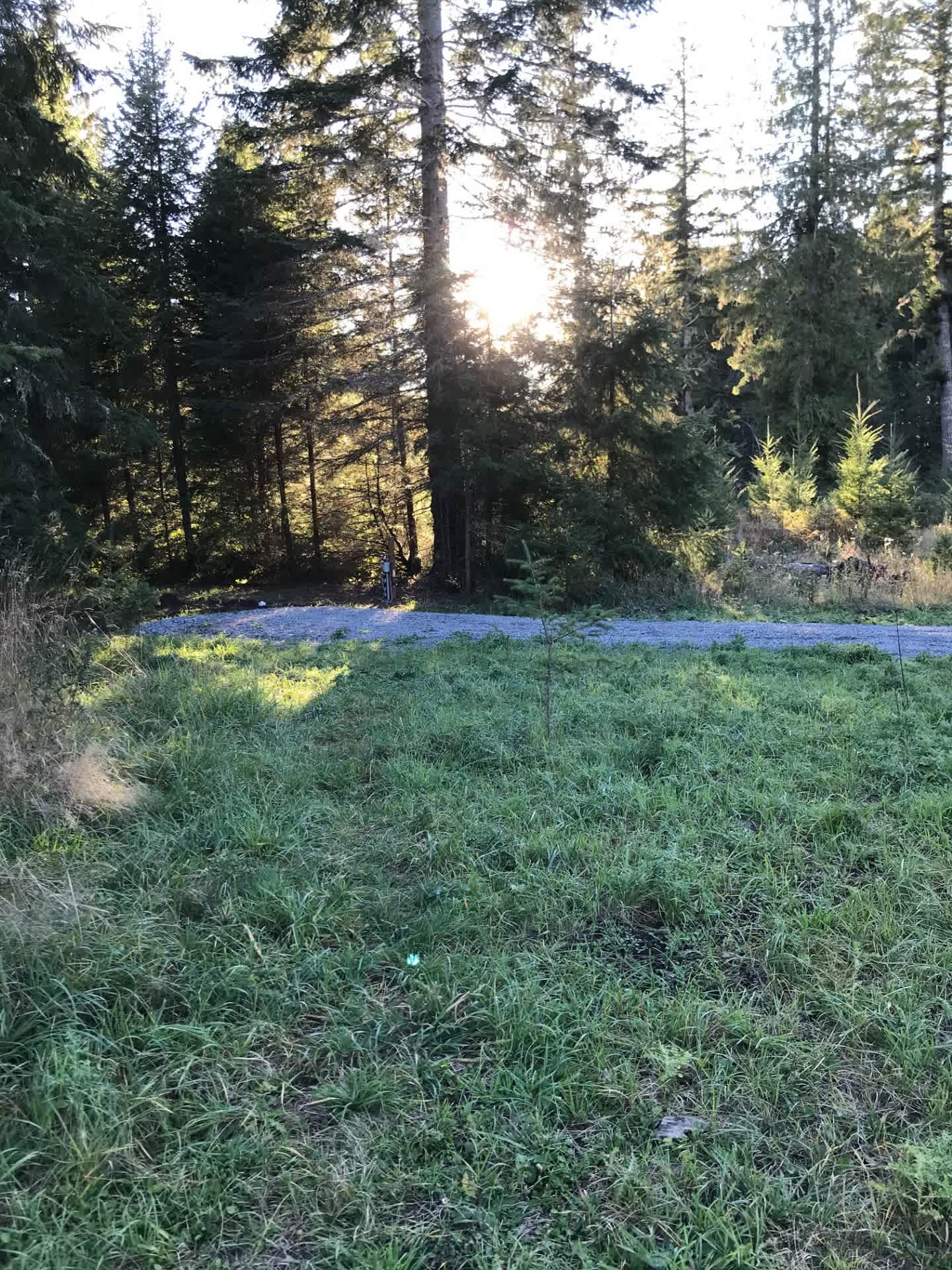 The Old Farm