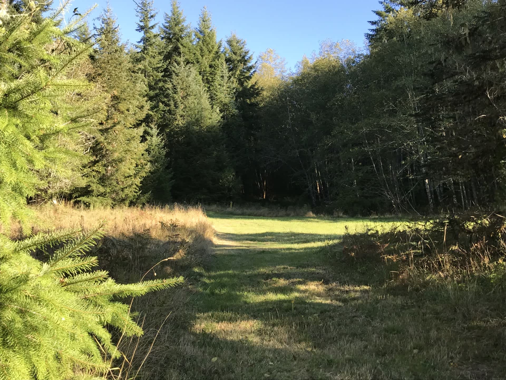 The Old Family Farm