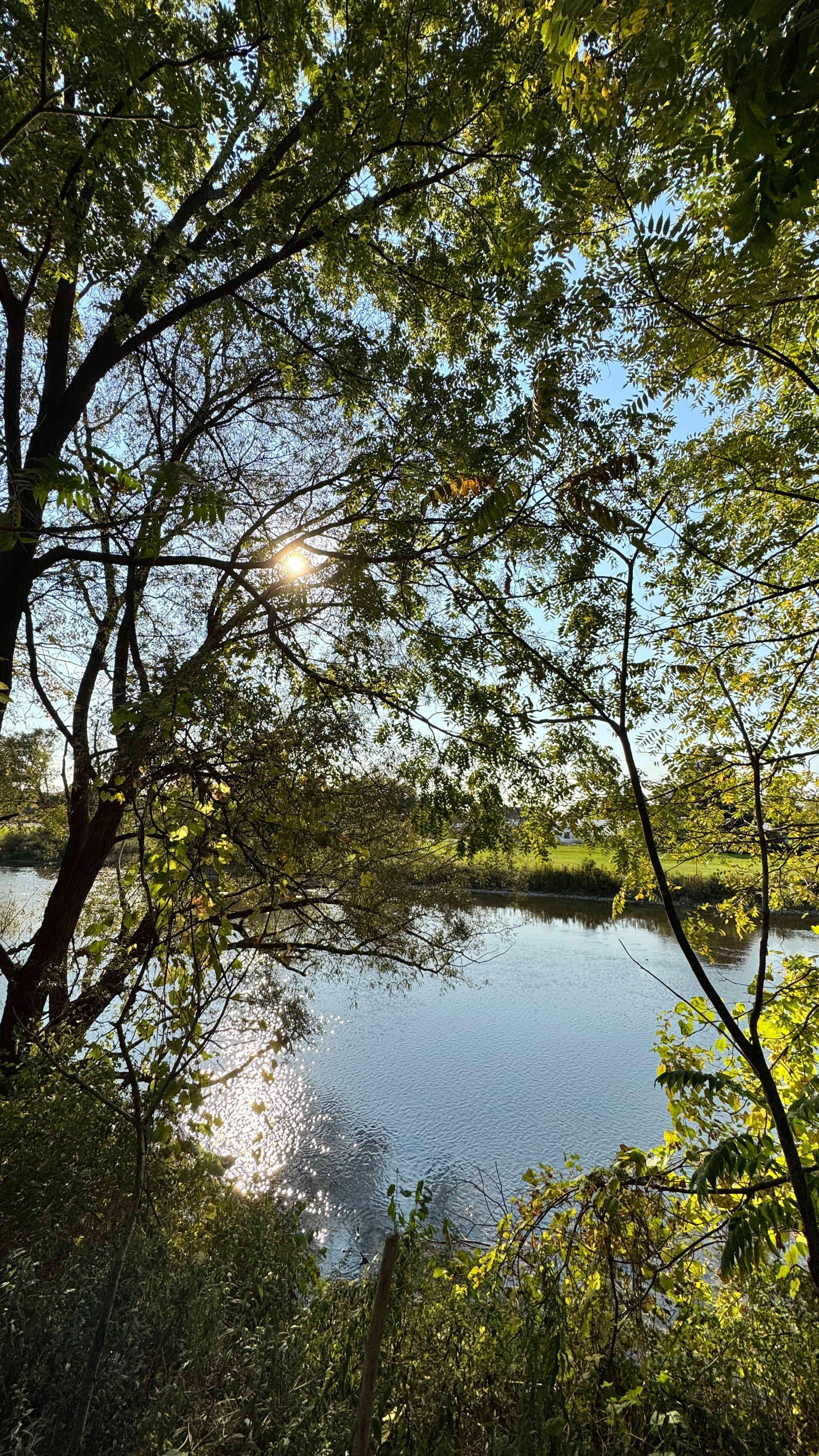 Riverfront Campsite at The Woods