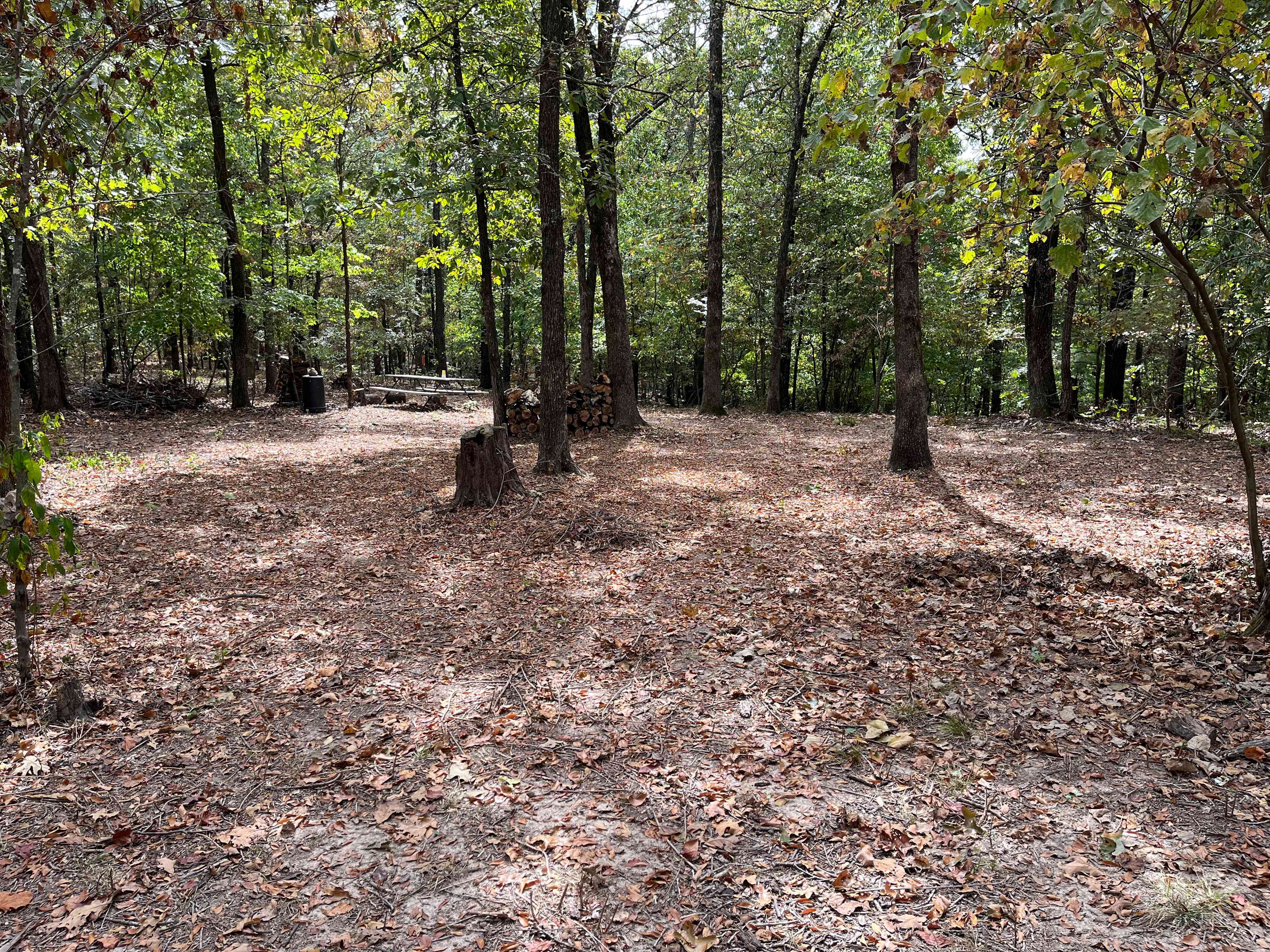 Lake Frances Campsites