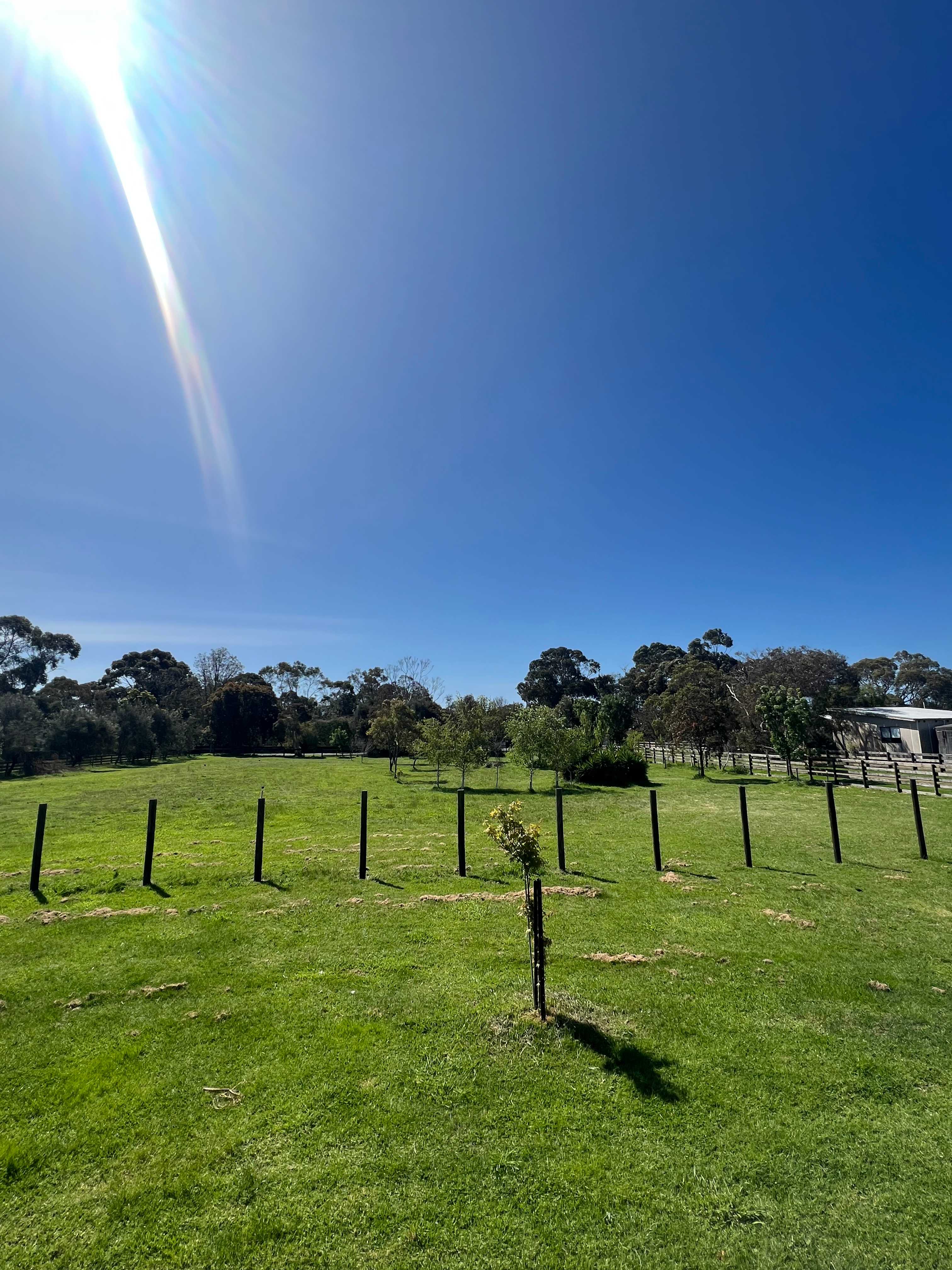 Front Acre of Farmhouse & Land!