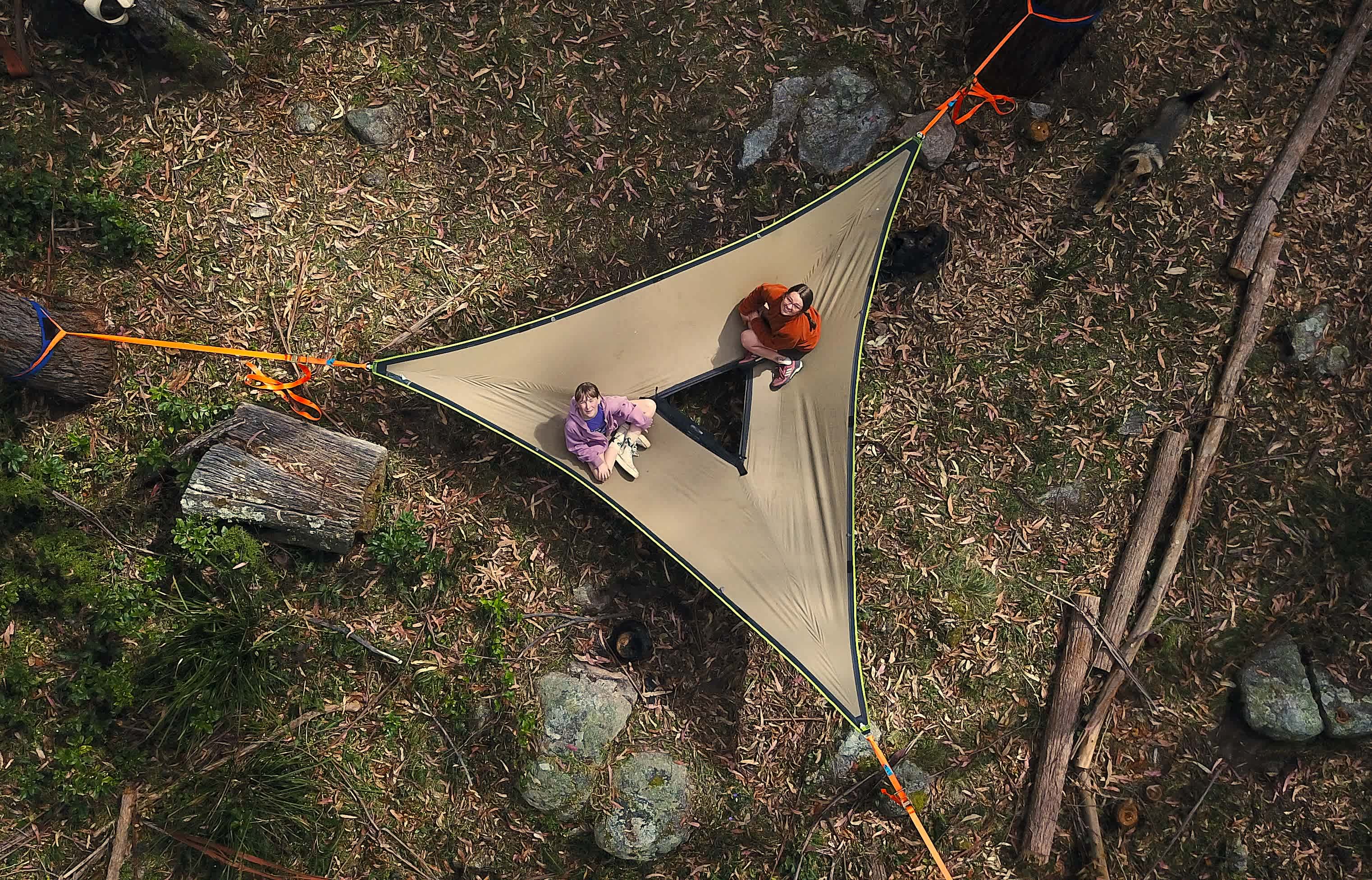 Tree Hammock!