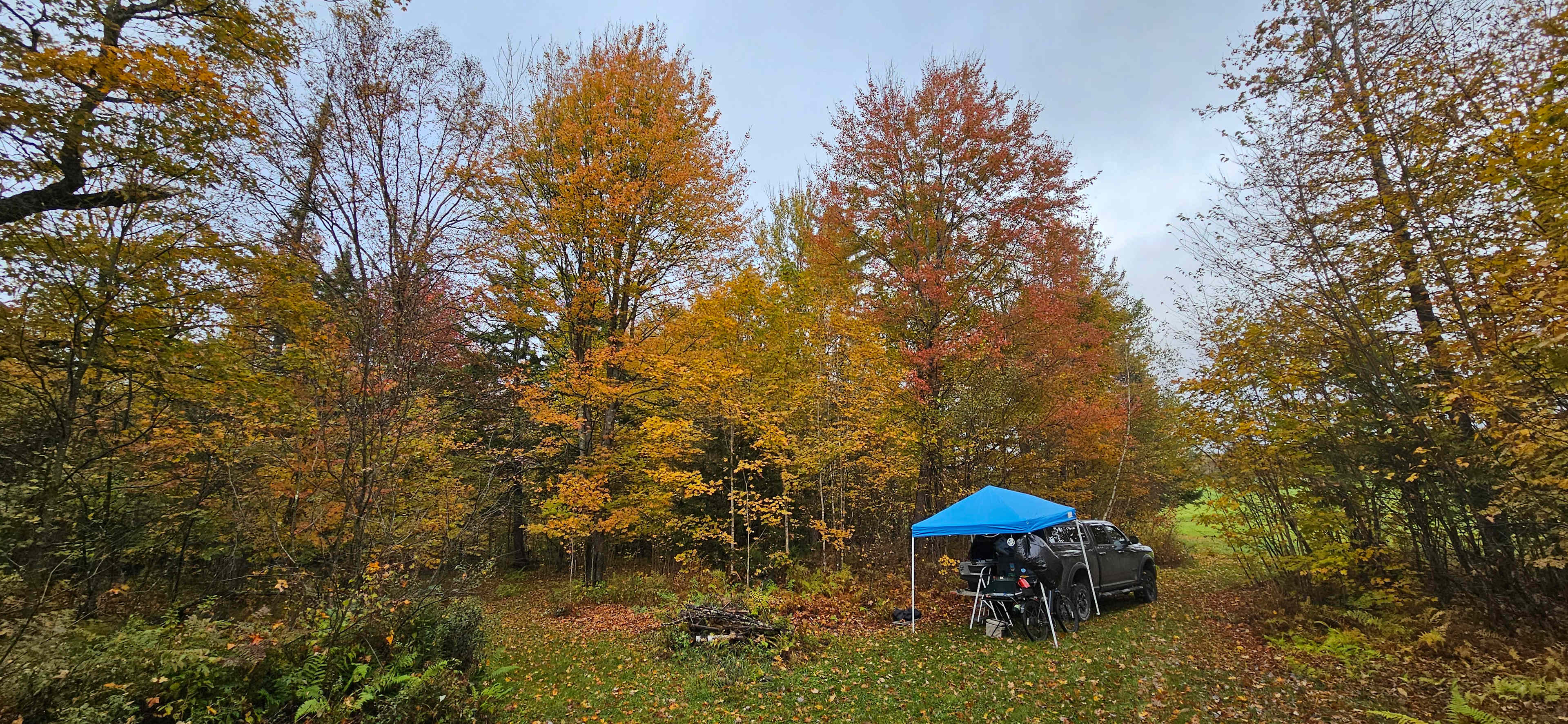 Picture of the site