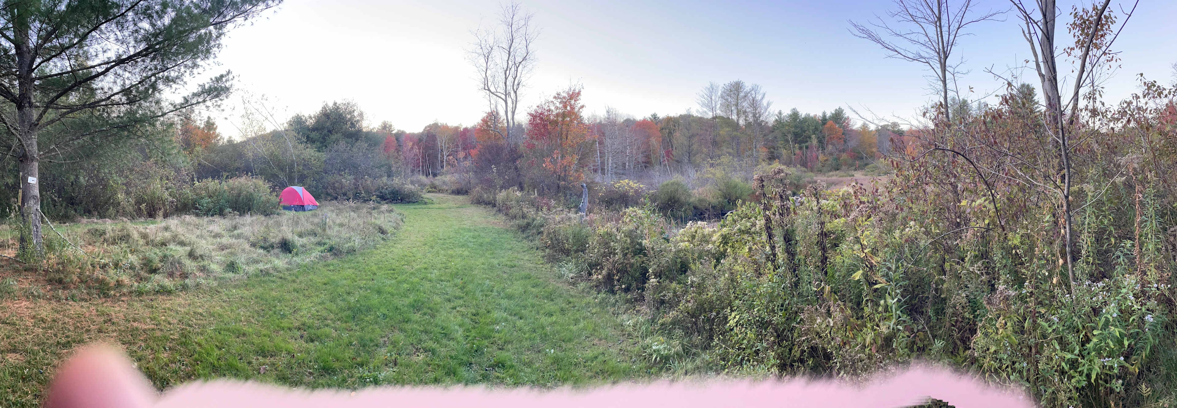 Picture of the site