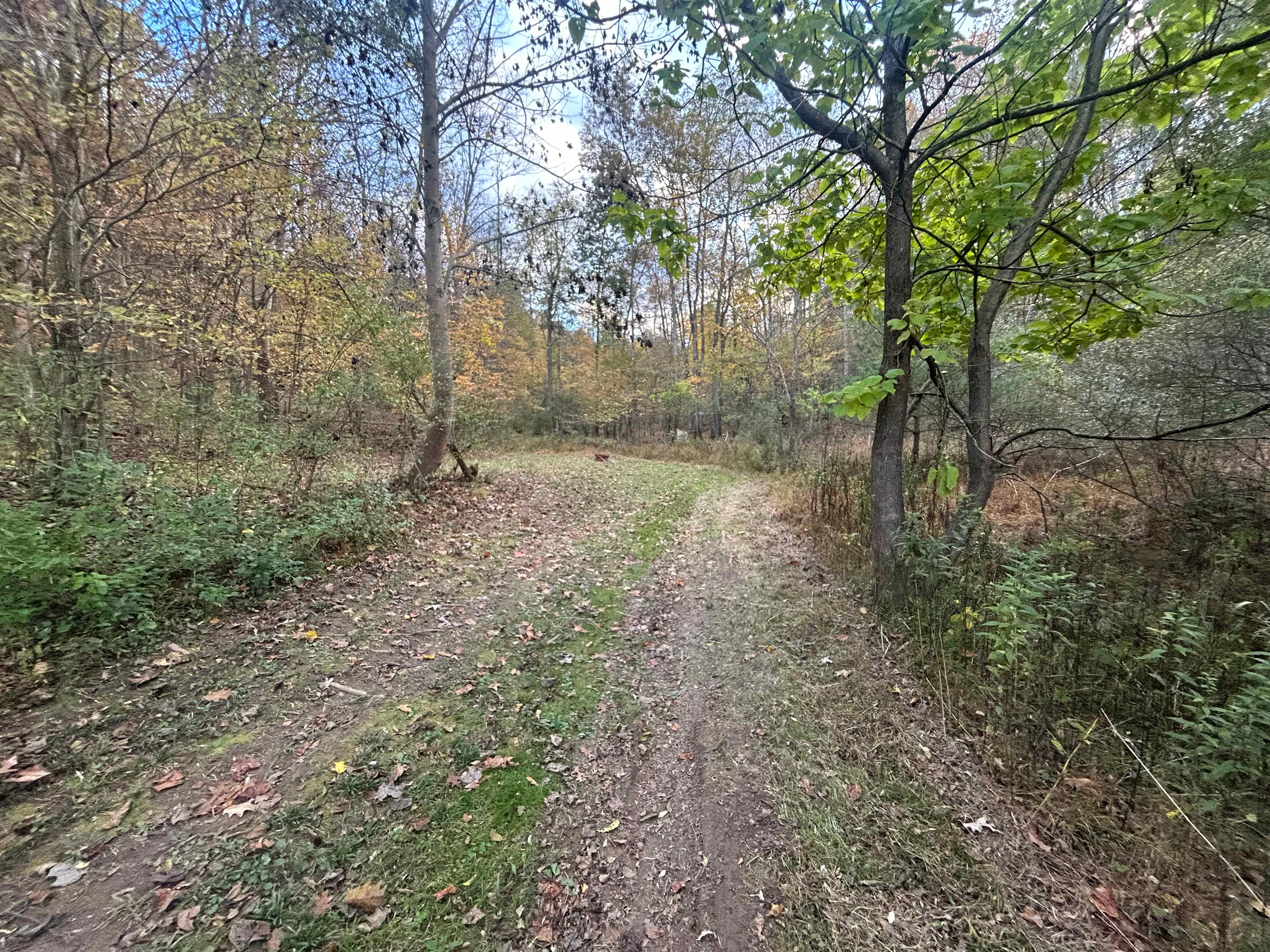 Wilson’s Boondock Hollow