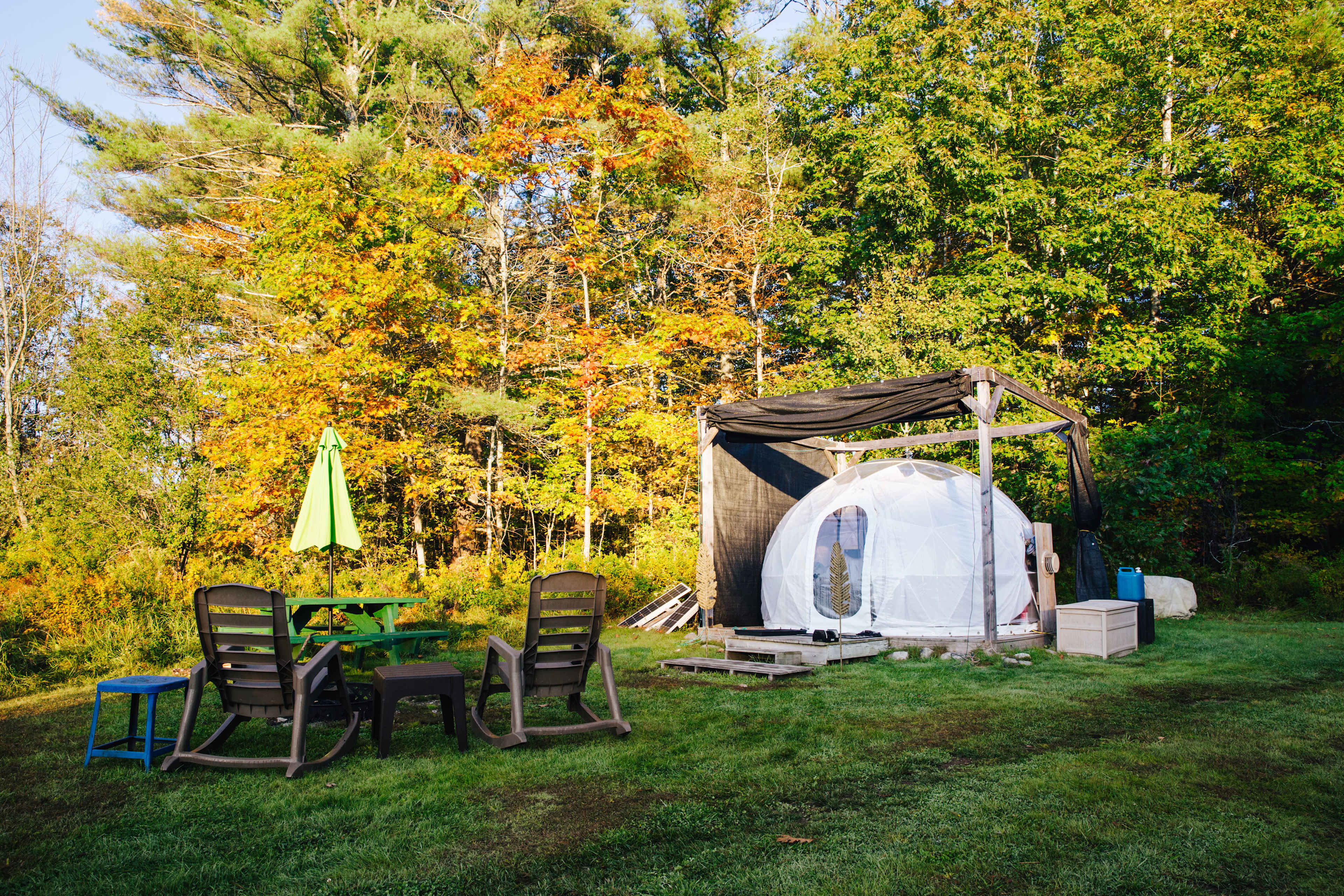 The forest-side dome
