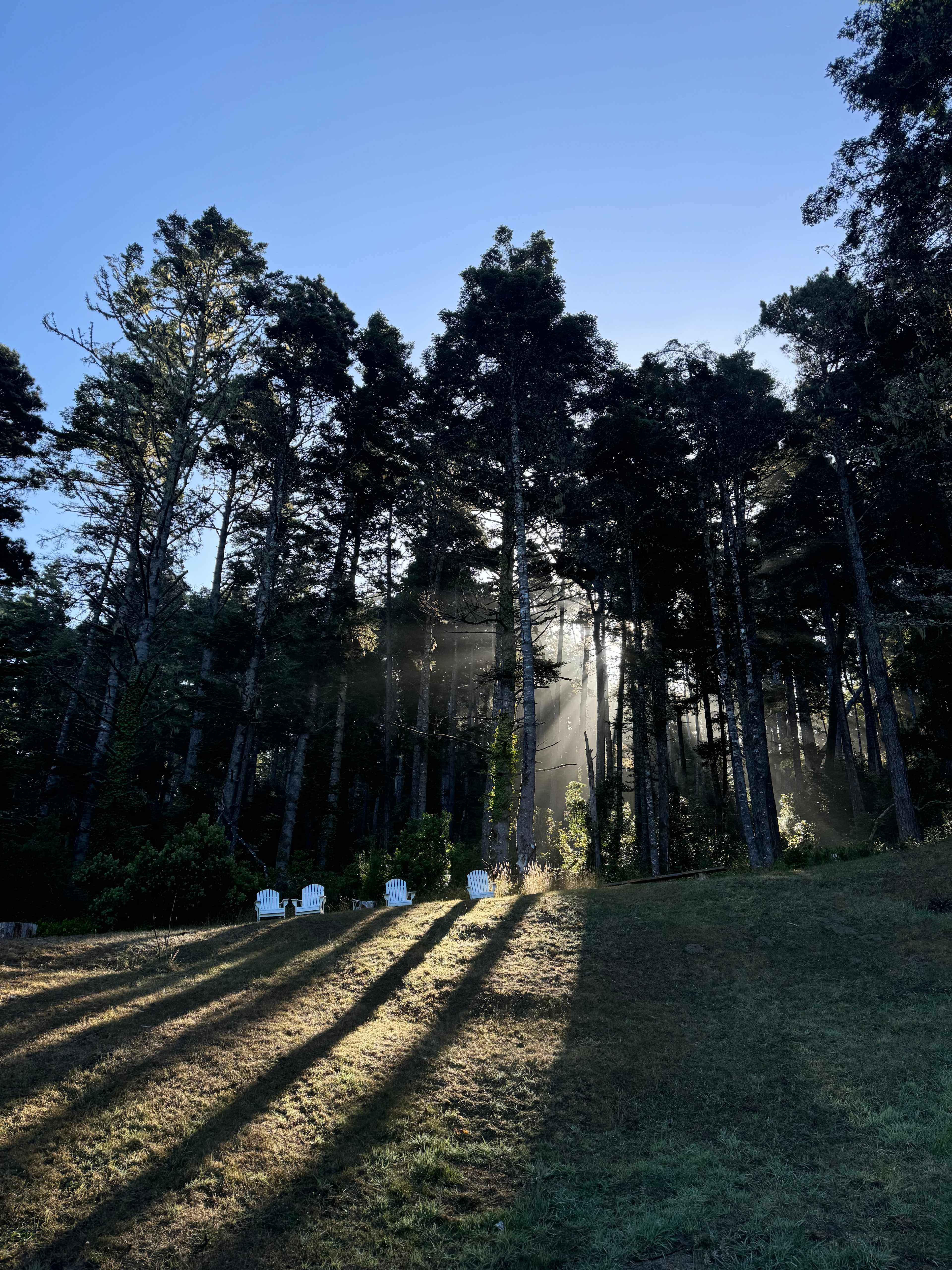 Mendocino Coast RV / Campers