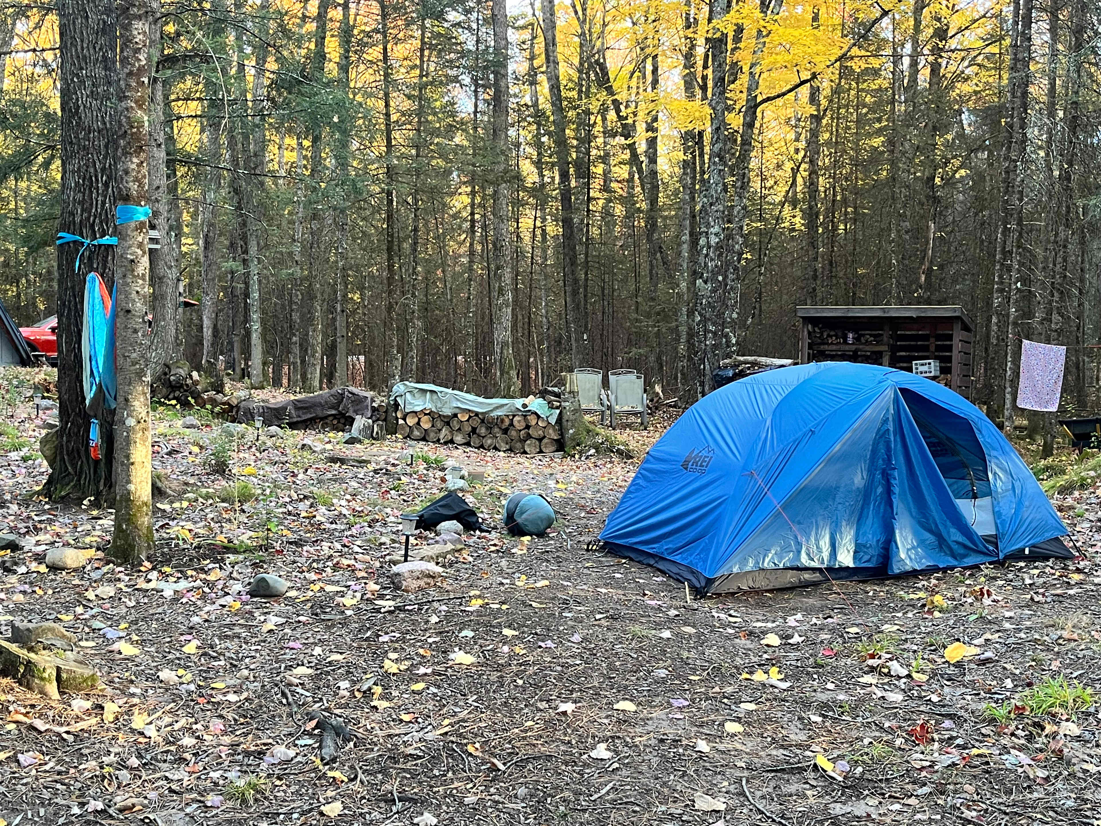 The Hoegger Hideaway