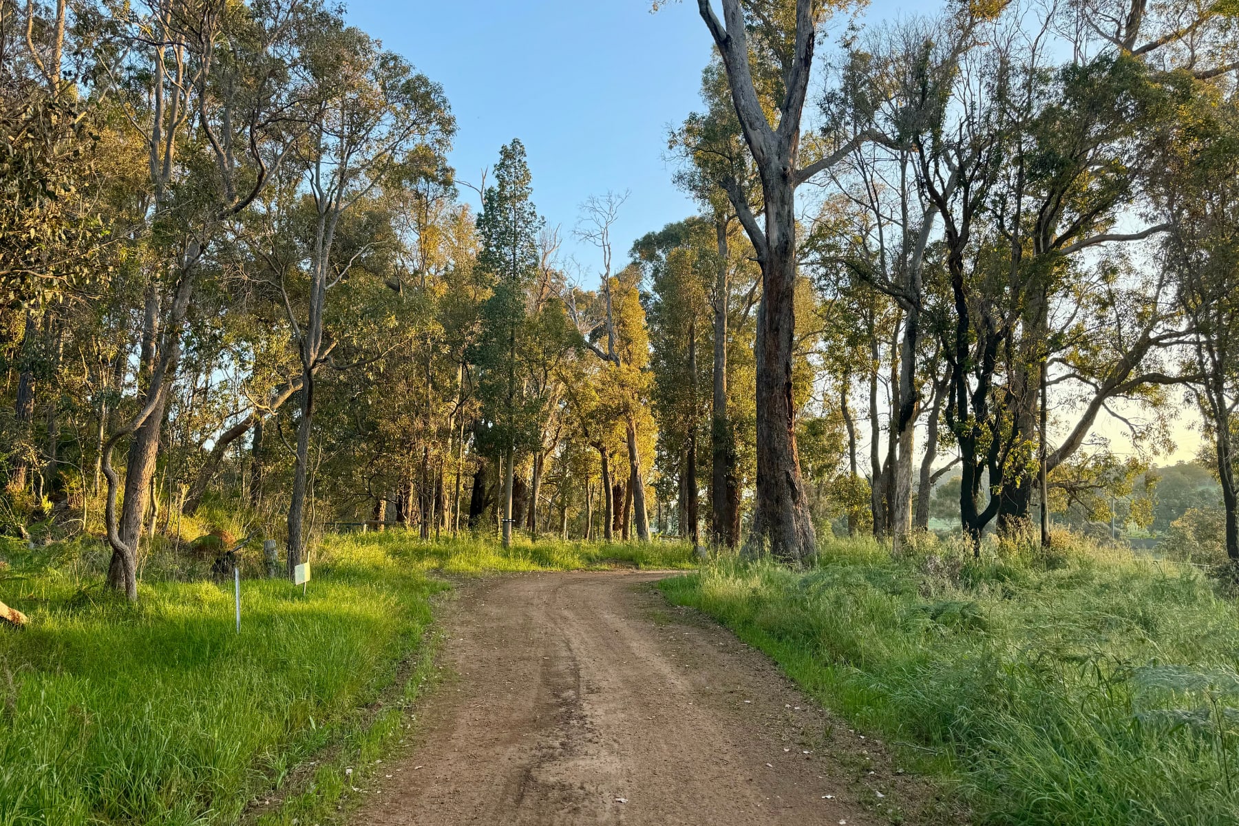 There are stunning views as you approach the farm, making it the perfect off-grid adventure. The scenery truly sets the stage for a relaxing getaway in nature!