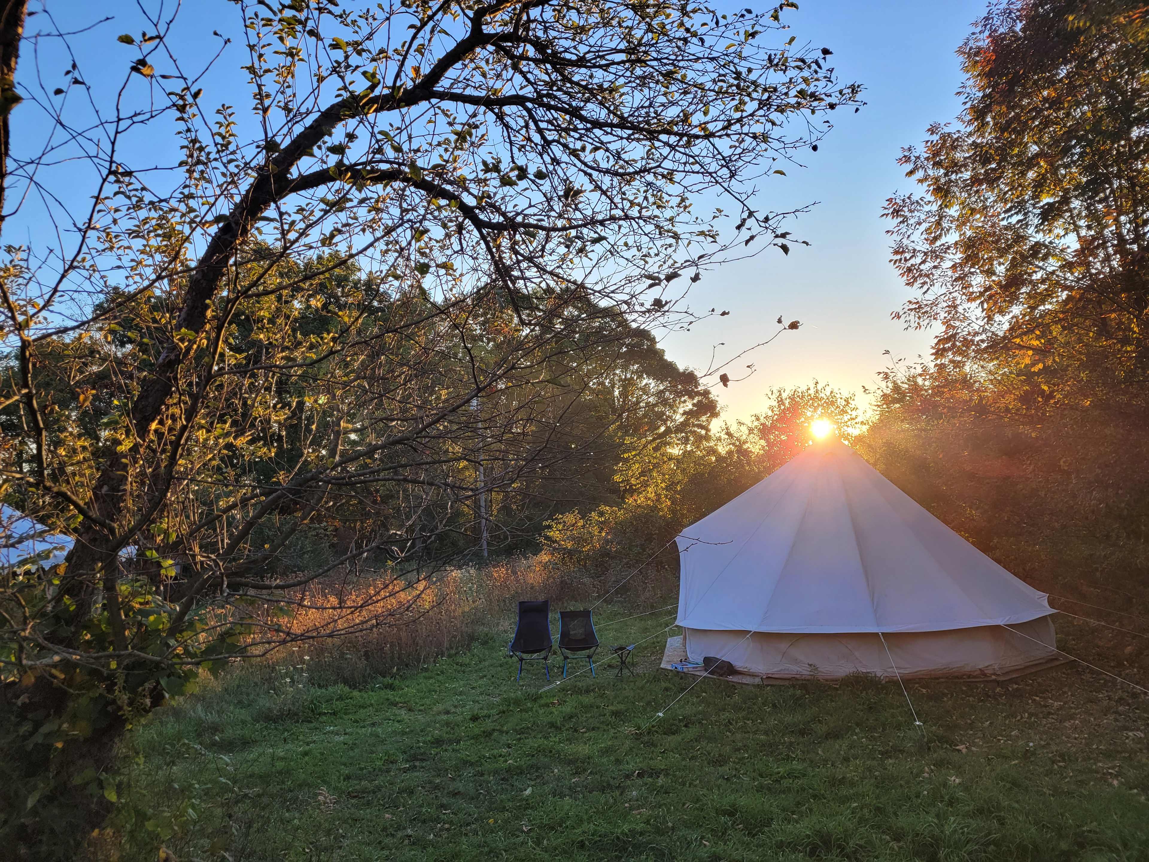 Waymeet Homestead