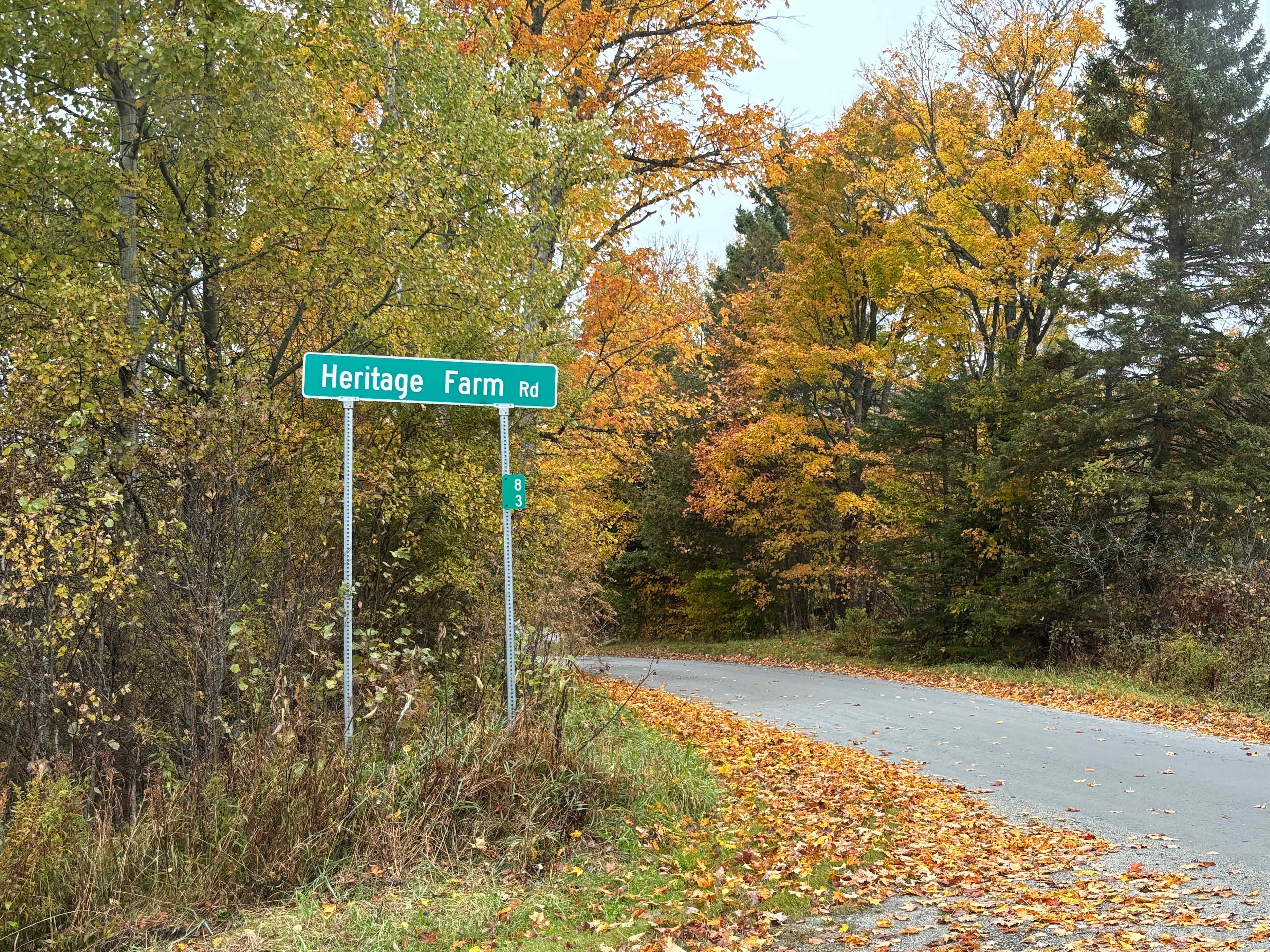 Beautiful Walden Vermont
