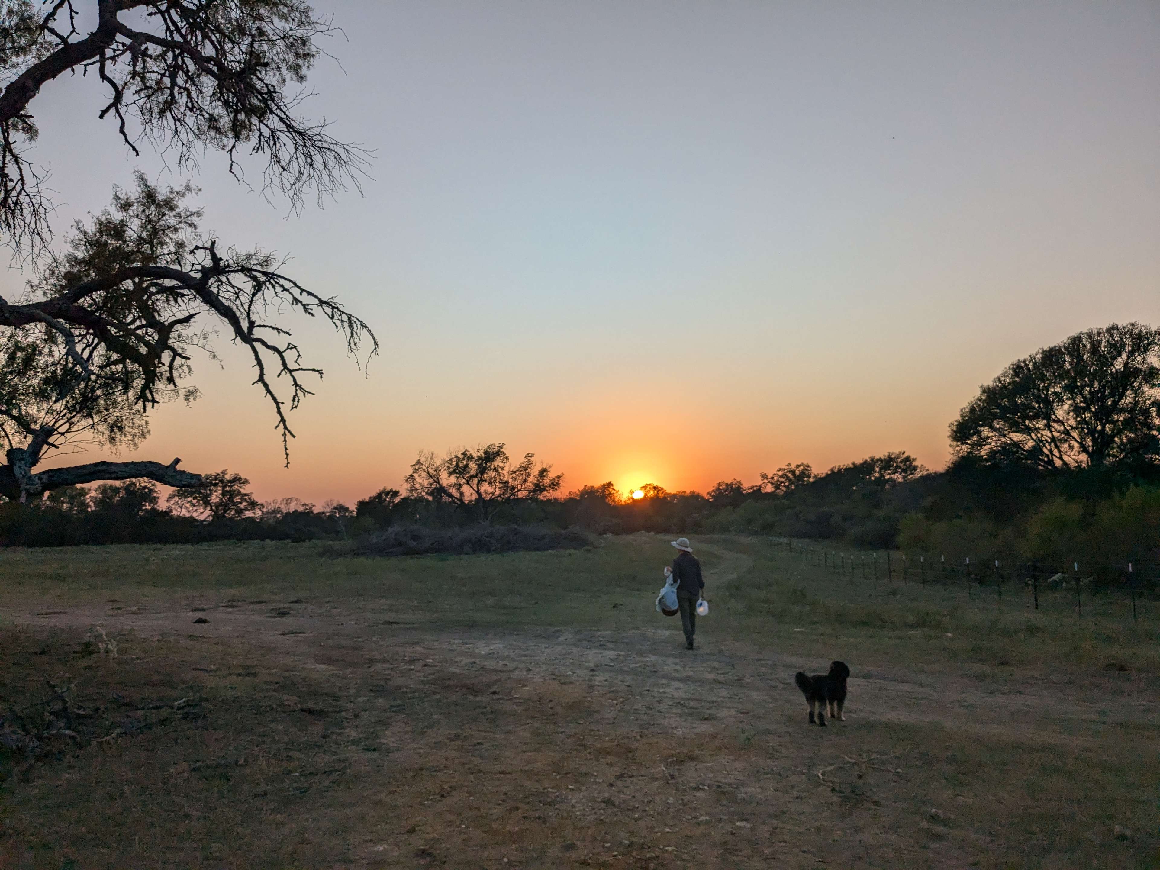 Lone Oak Farm
