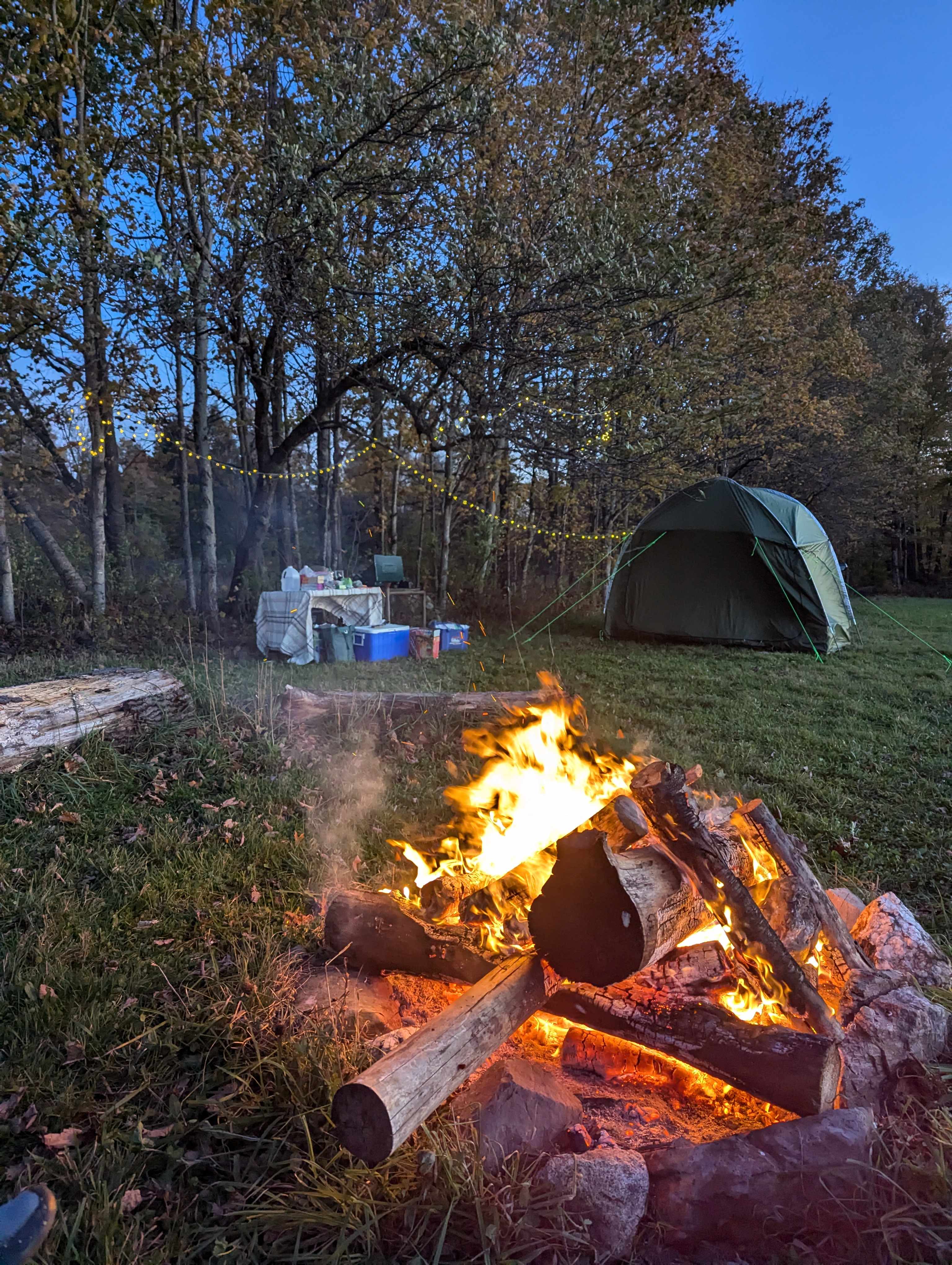 Picture of the site