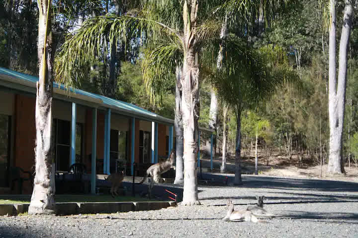 Dybara Park