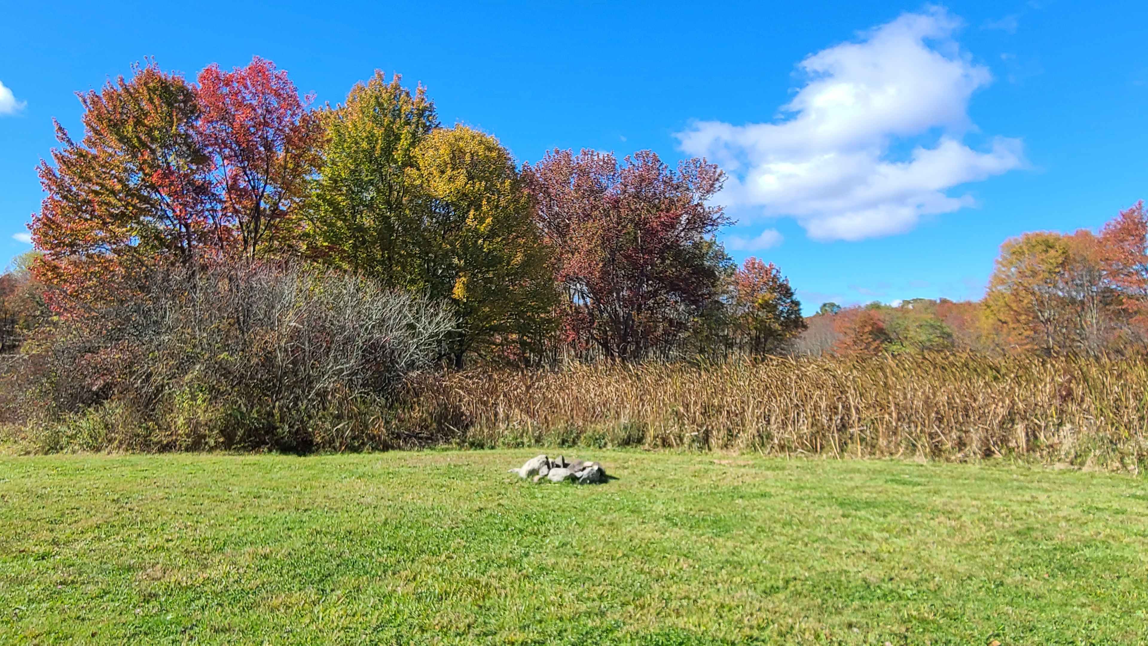 Campsites at Stonewall