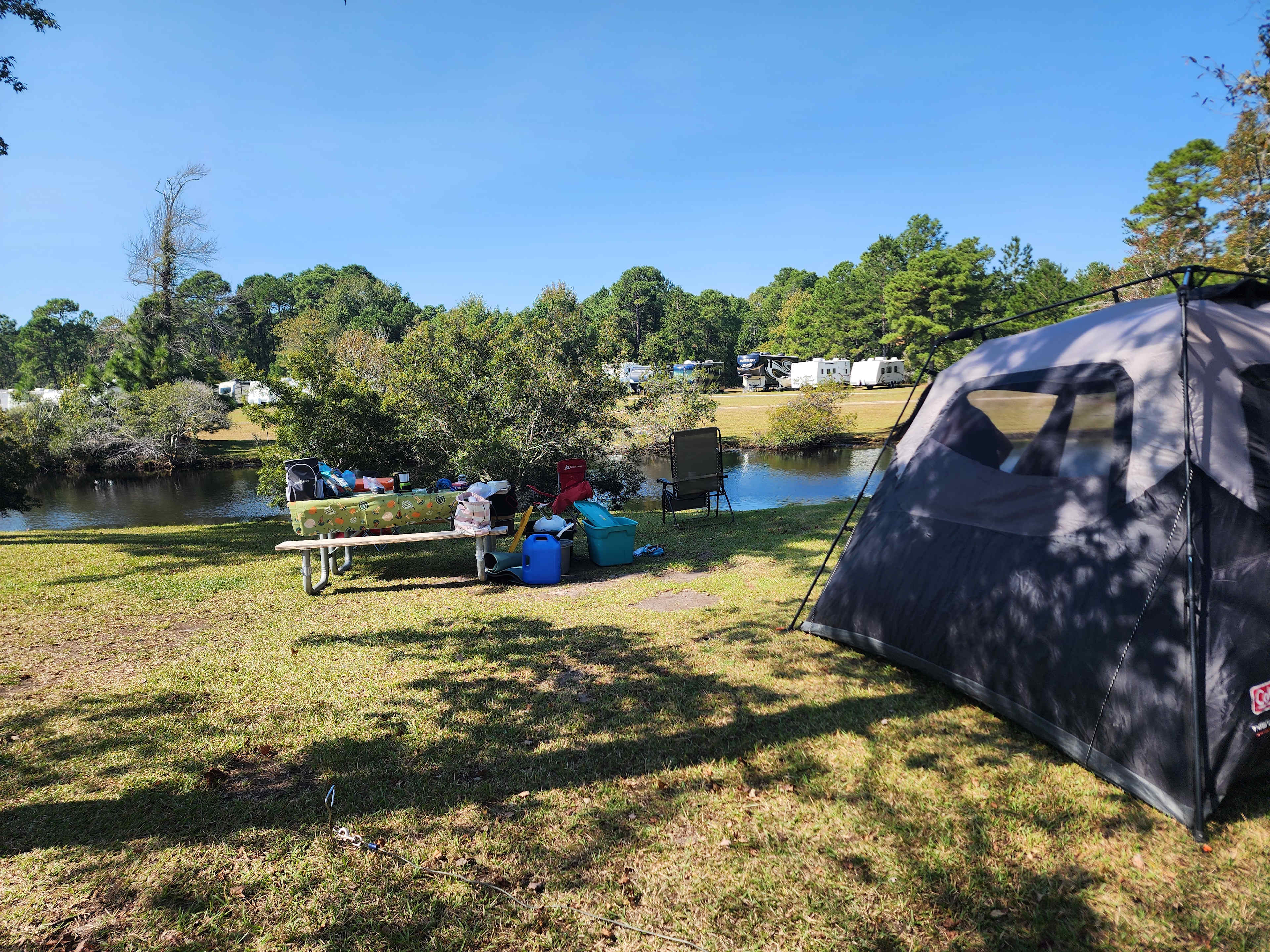 Picture of the site