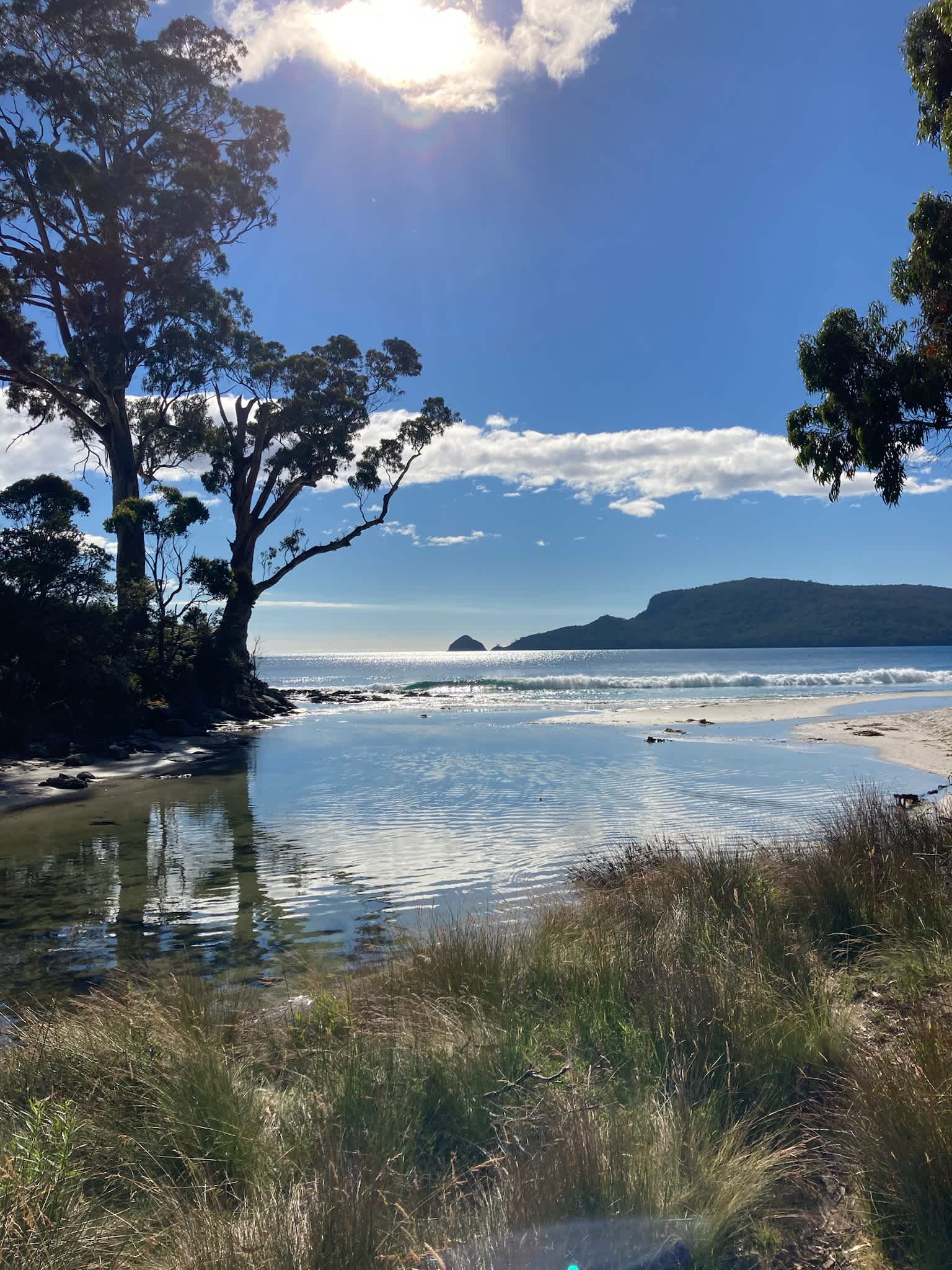Woodleigh - where beach meets bush
