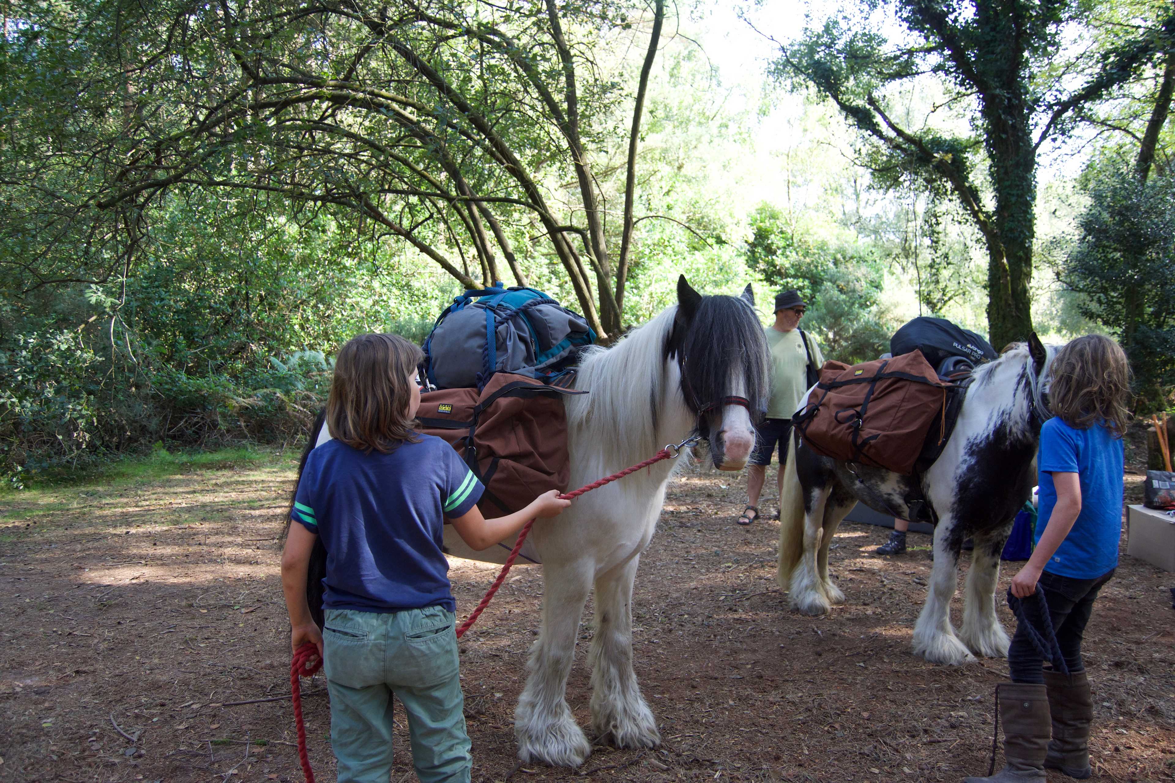 Pack Pony Wild Camp