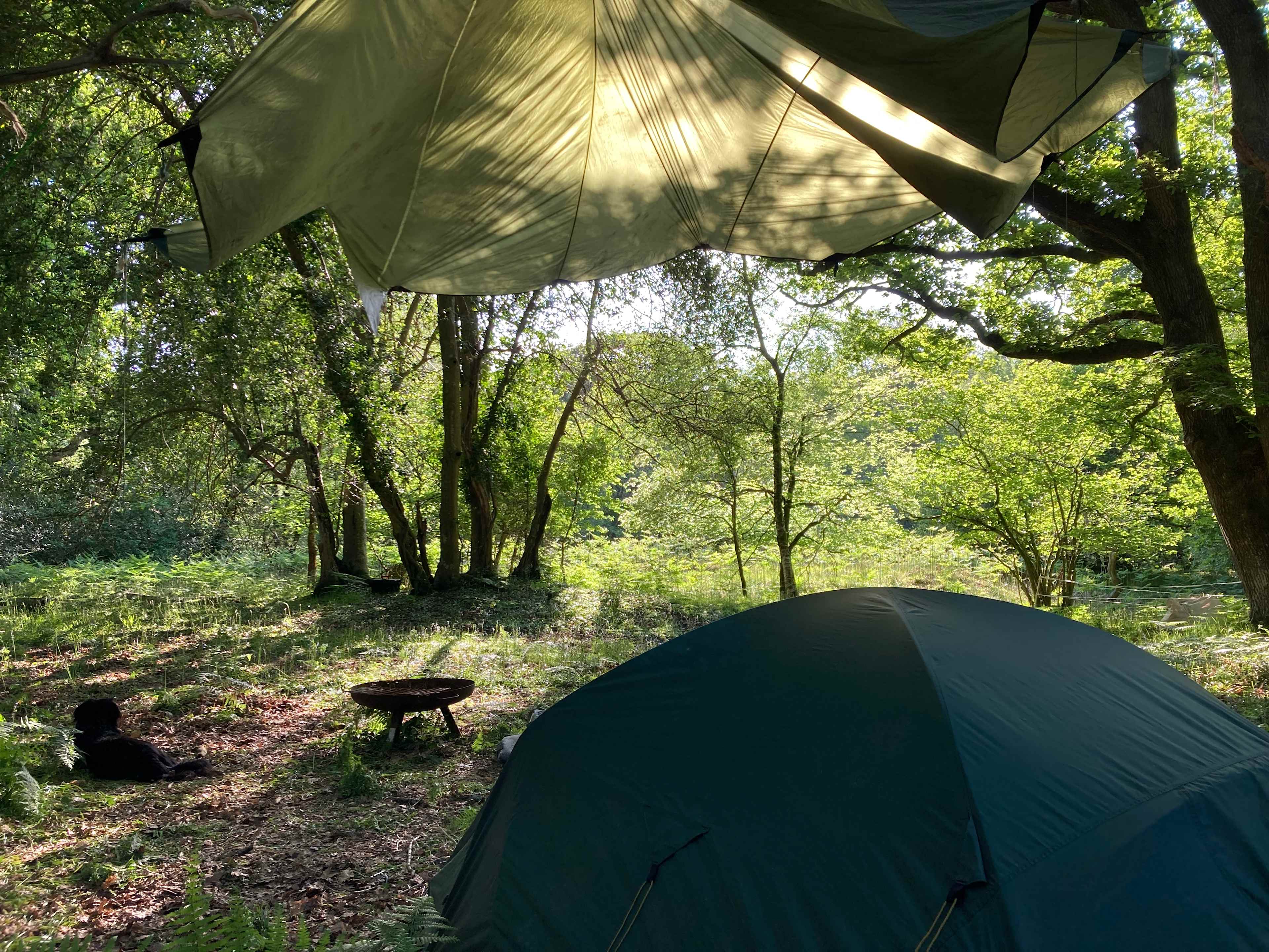 Pack Pony Wild Camp
