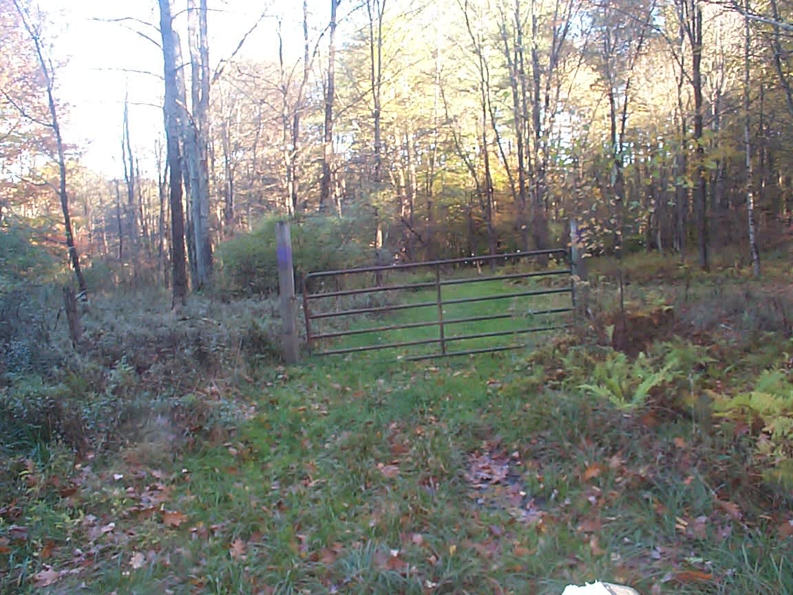 Justamere camp