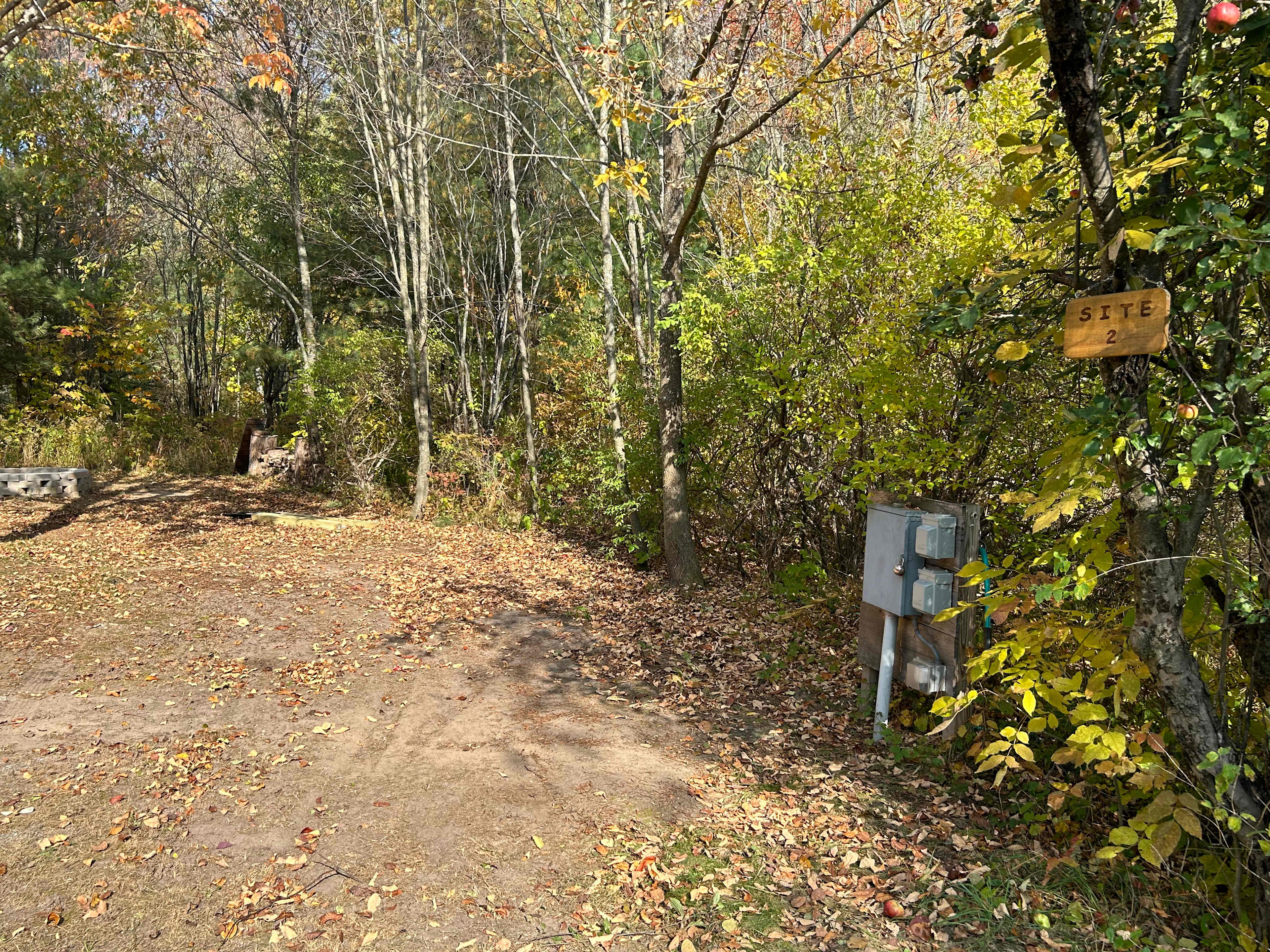 Picture of the site
