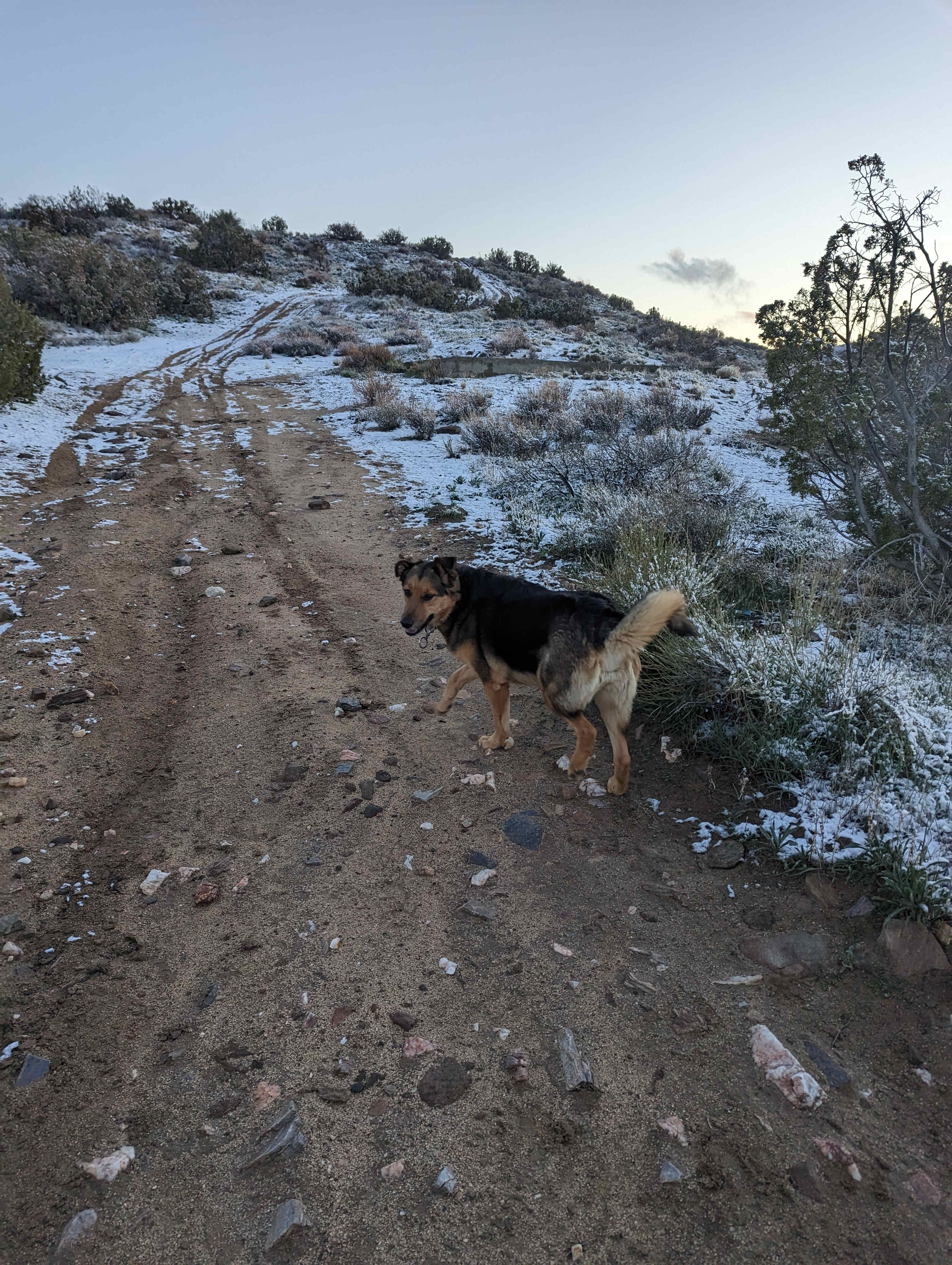 Rodger's Ranch