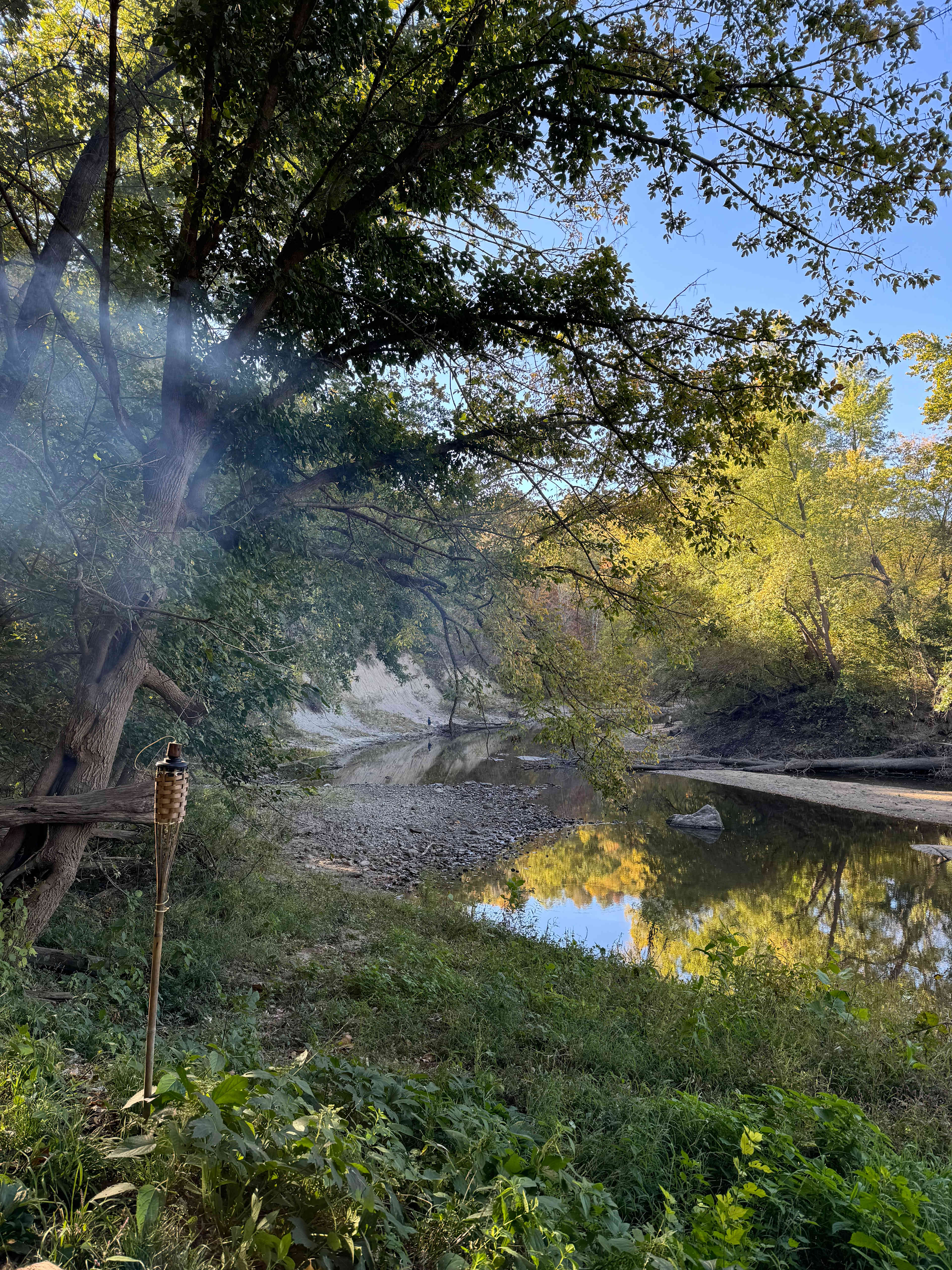 Willenborg Woods