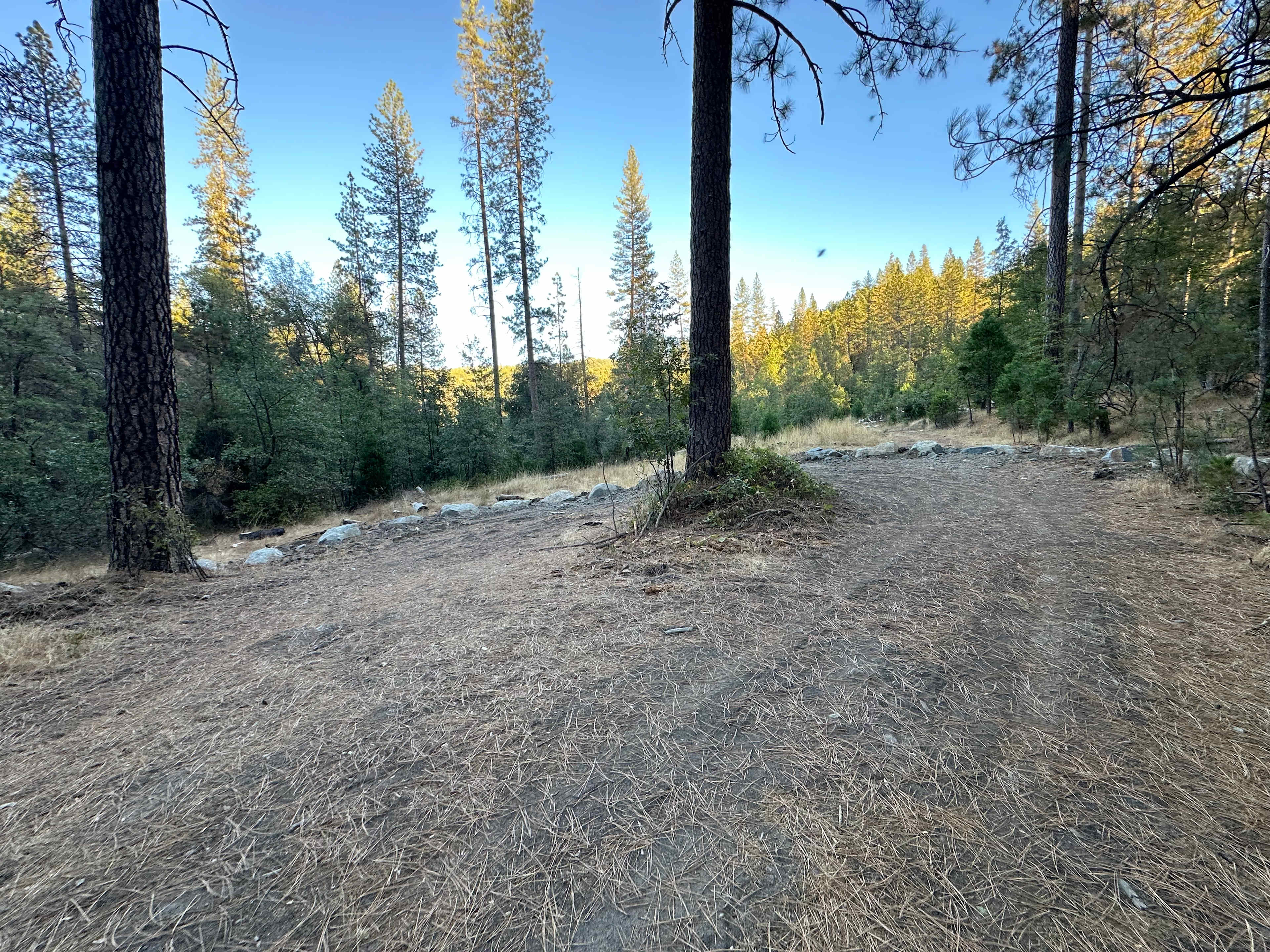 Moore Creek Placer Claim
