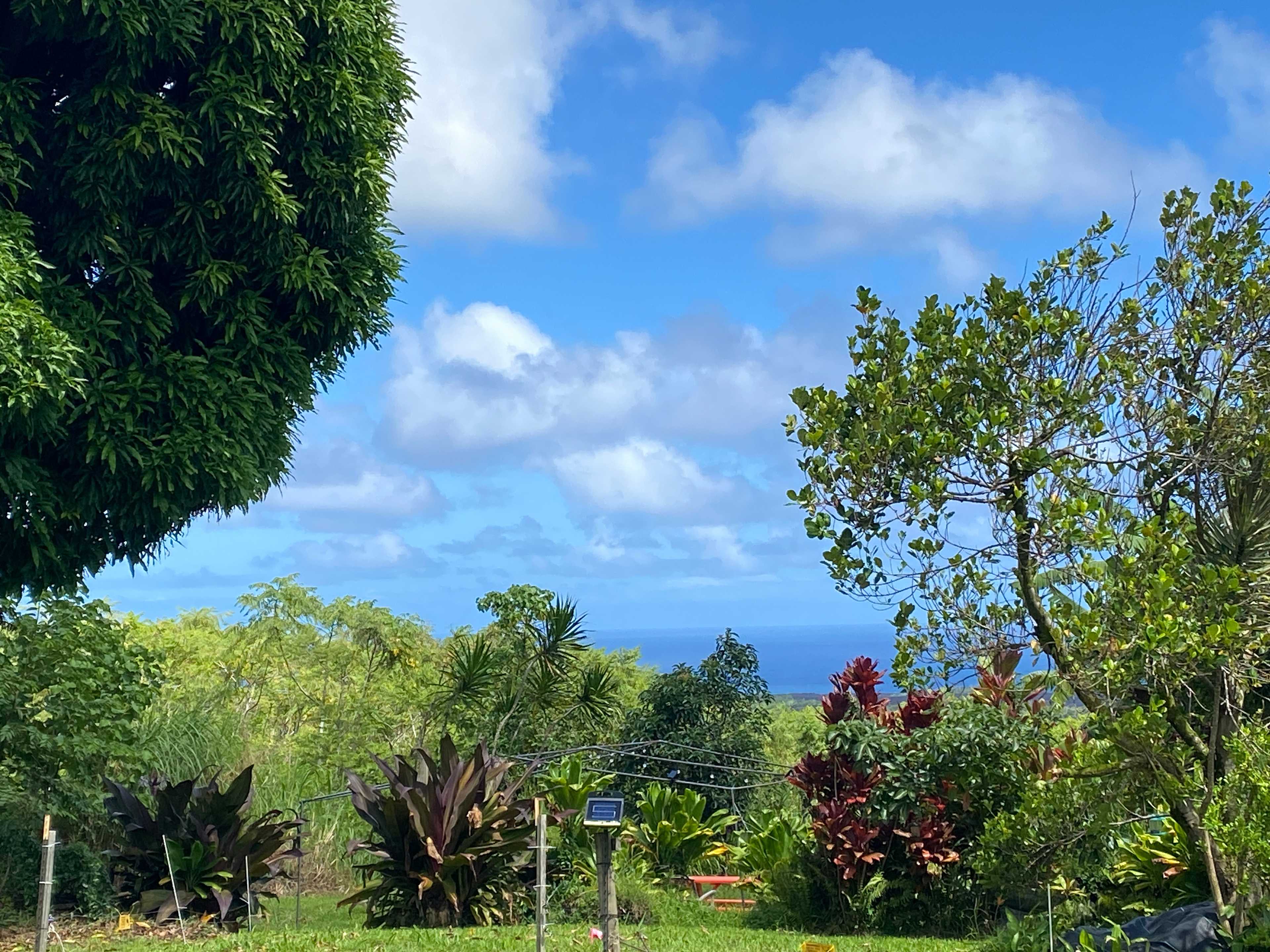 Iolani Farm