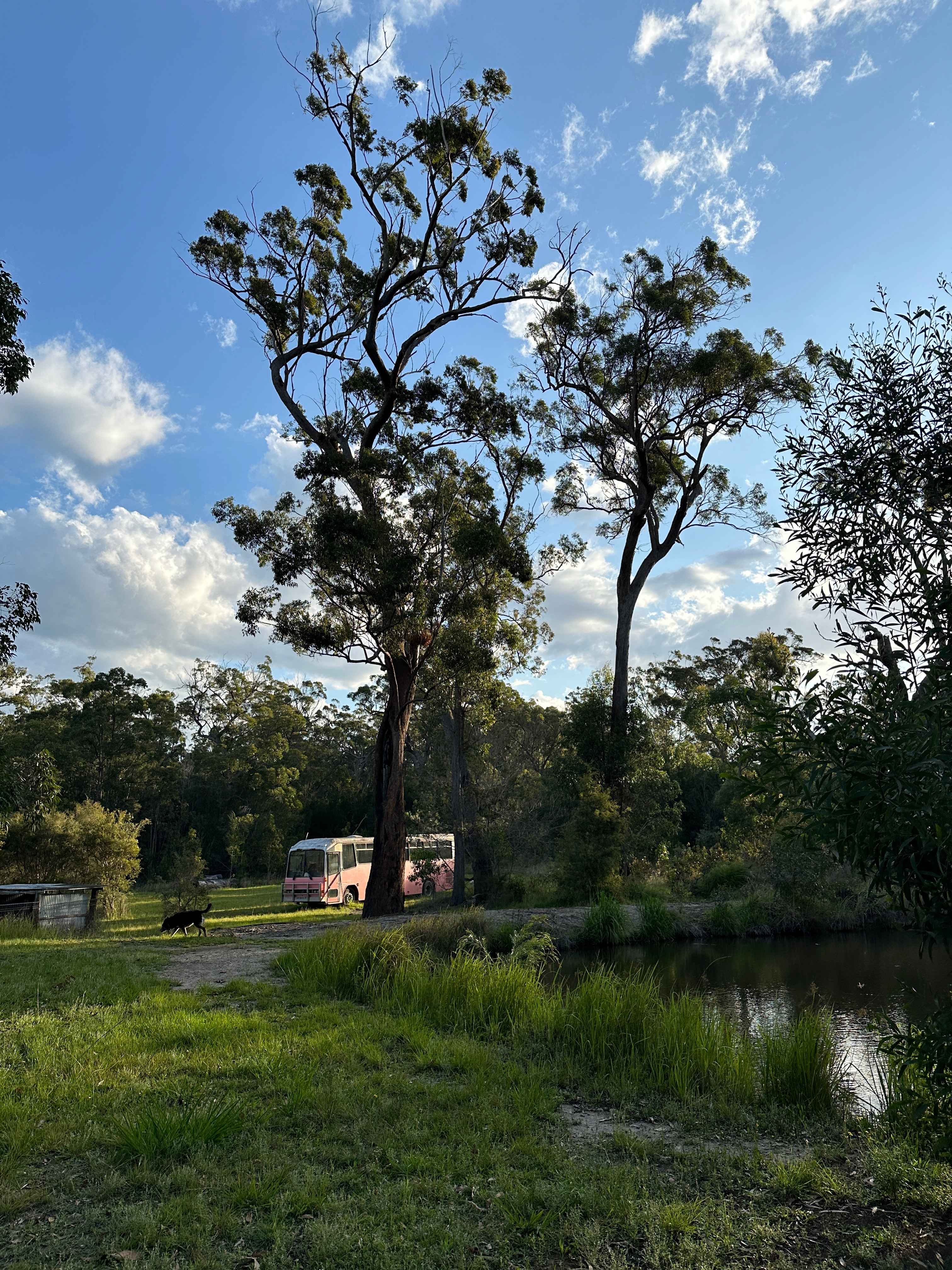 Losfergos Eco Accommodation