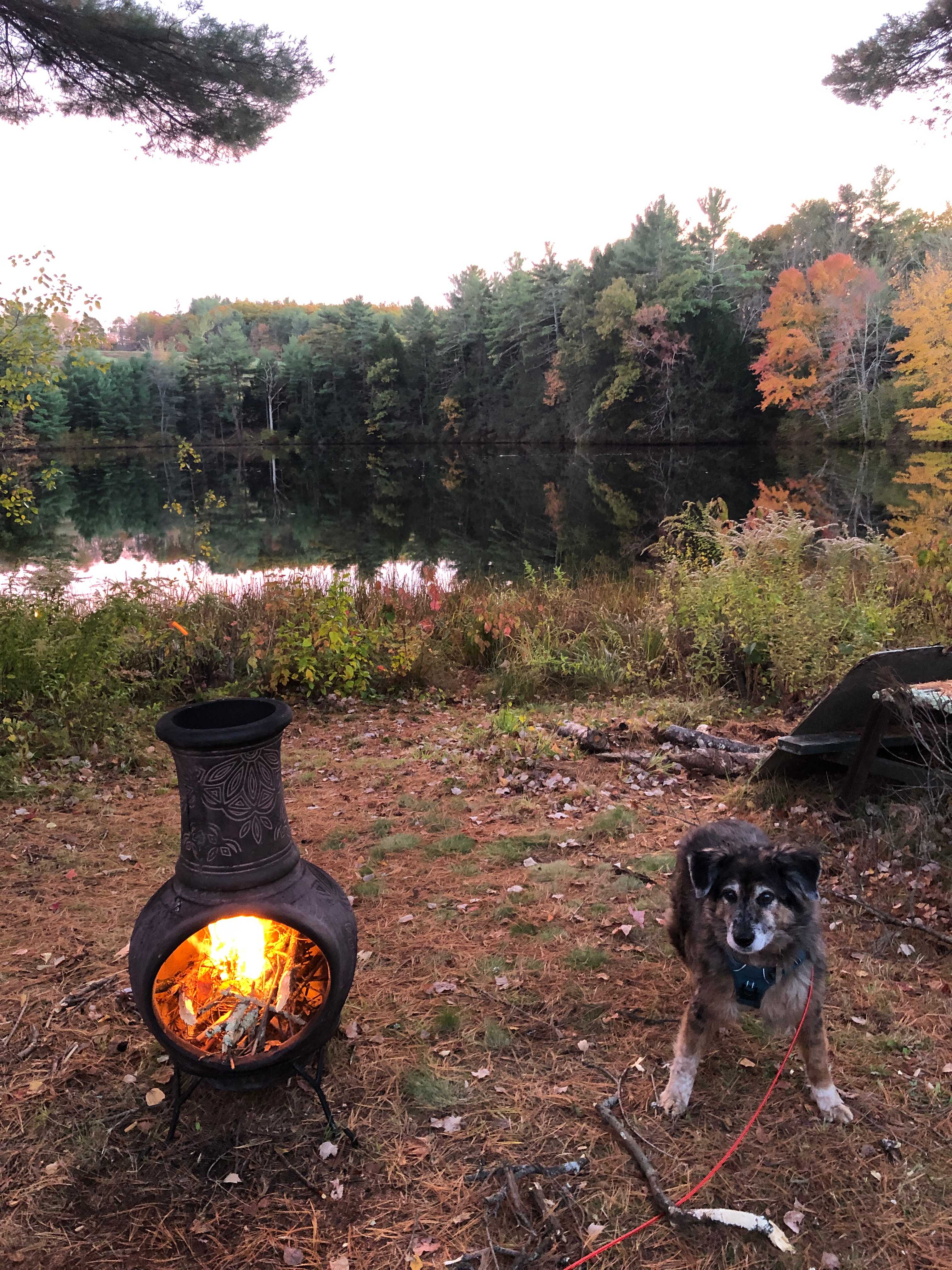 Powder Mill Pond Retreat