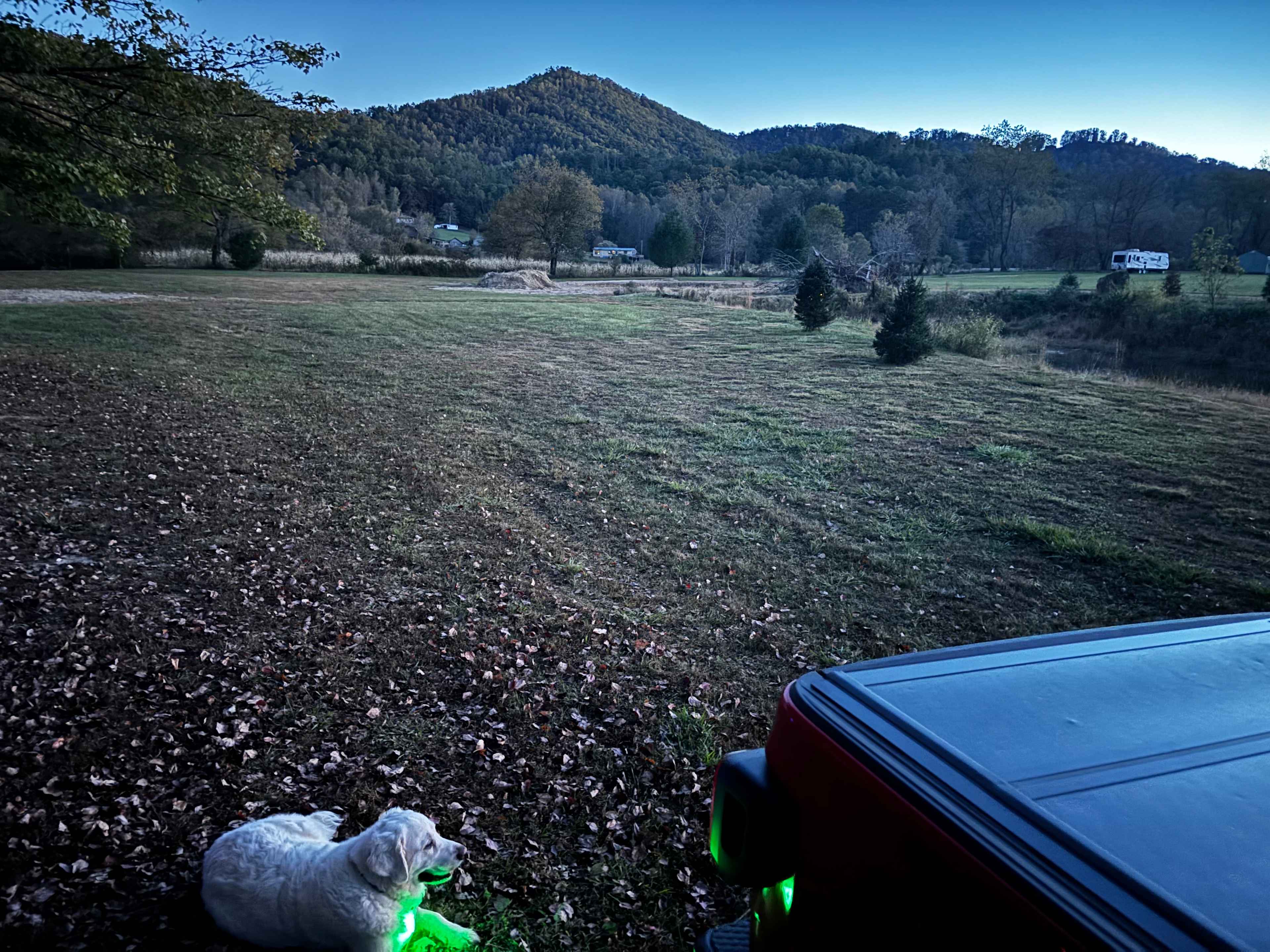 Picture of the site