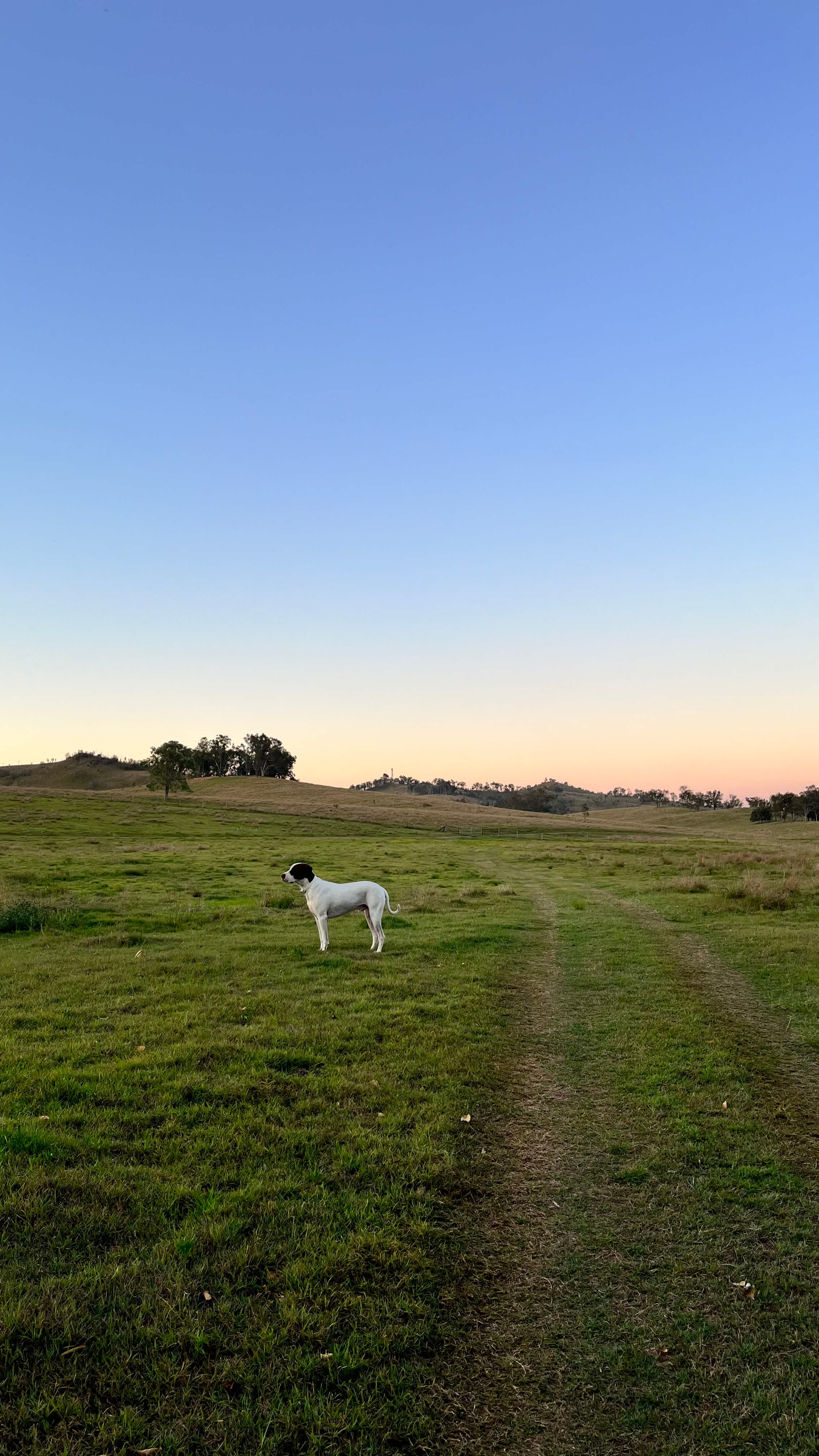 Juburra Country Camping
