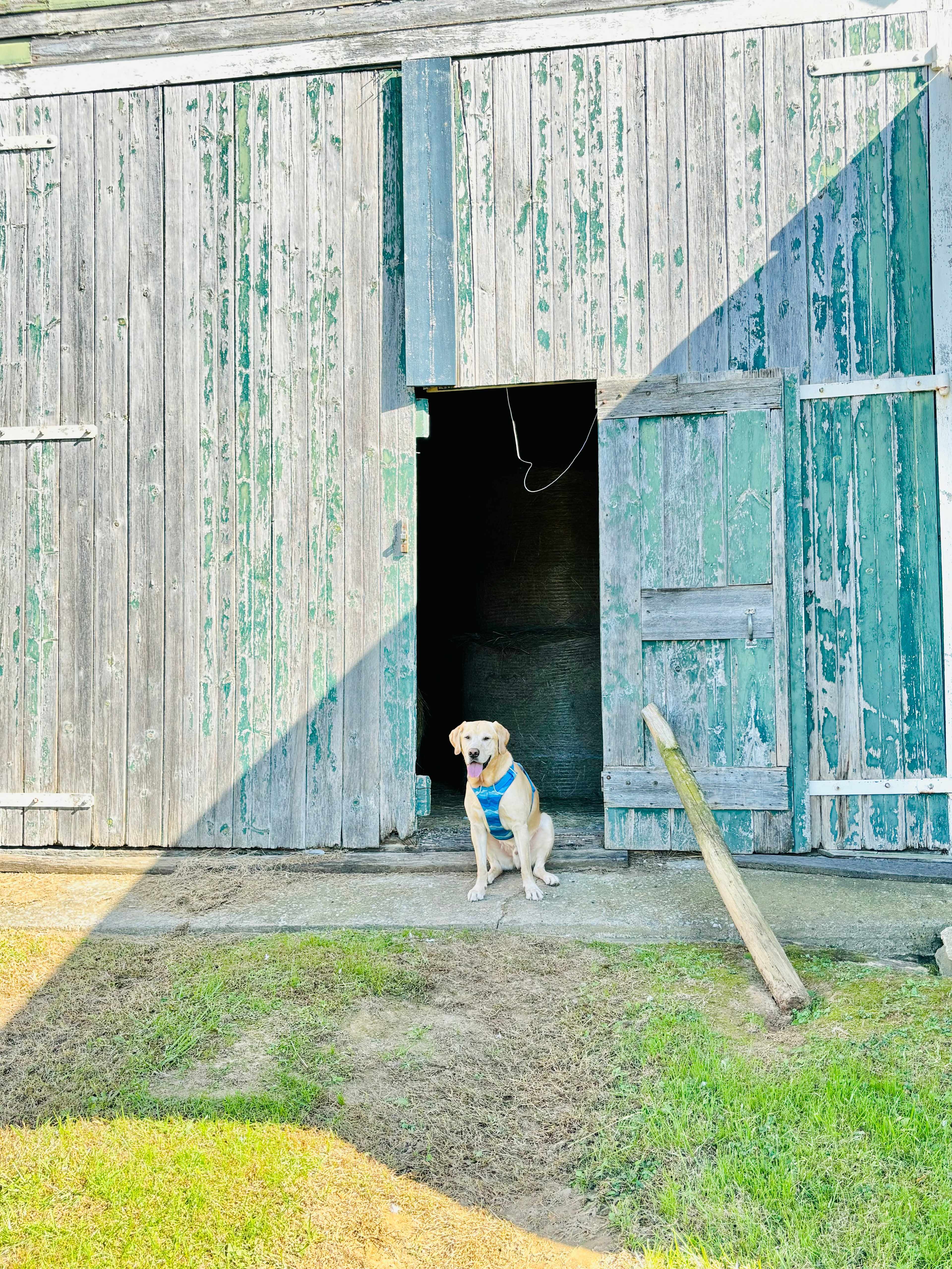 About Tyme Farm