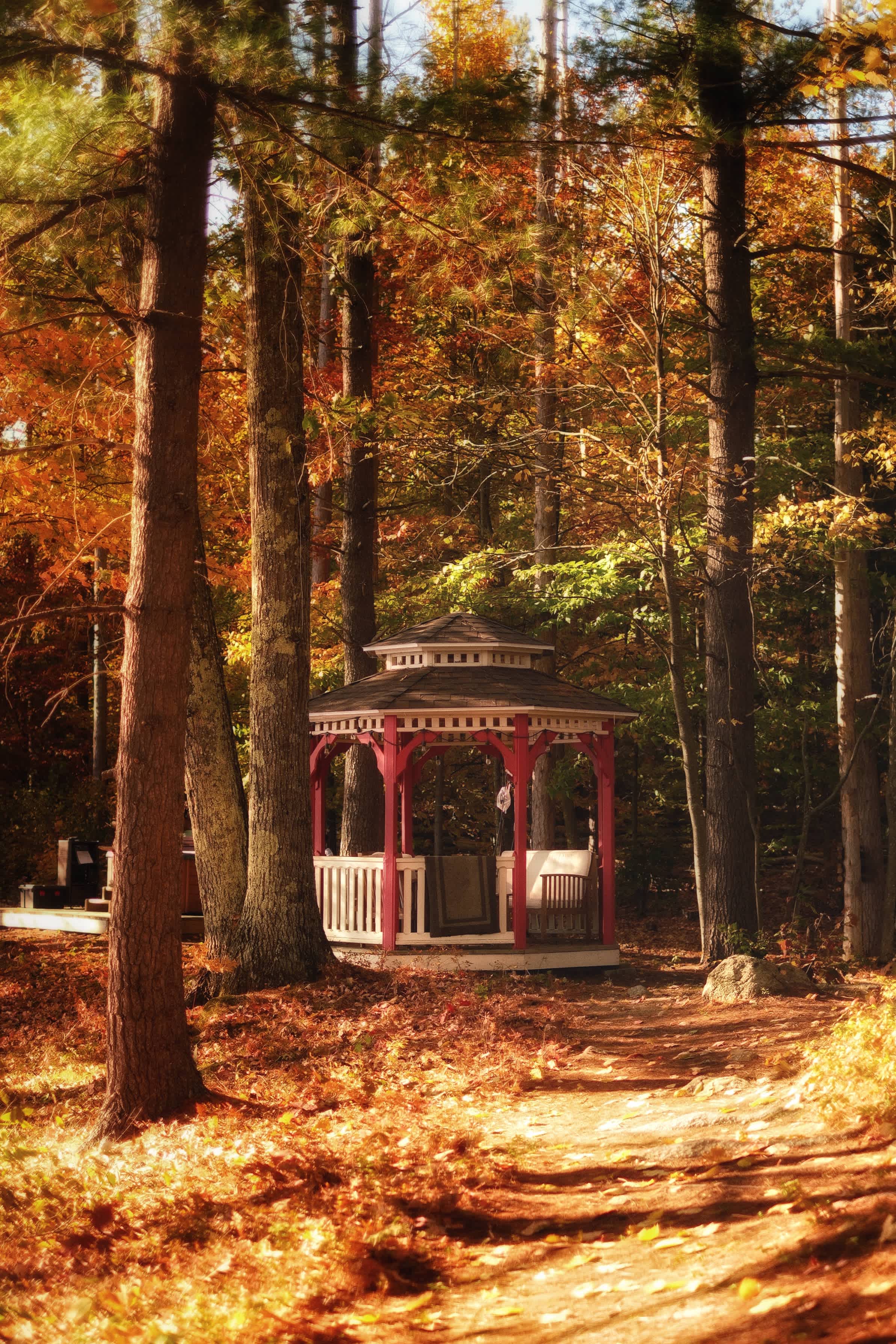 Waterfront Woodsy Glamping