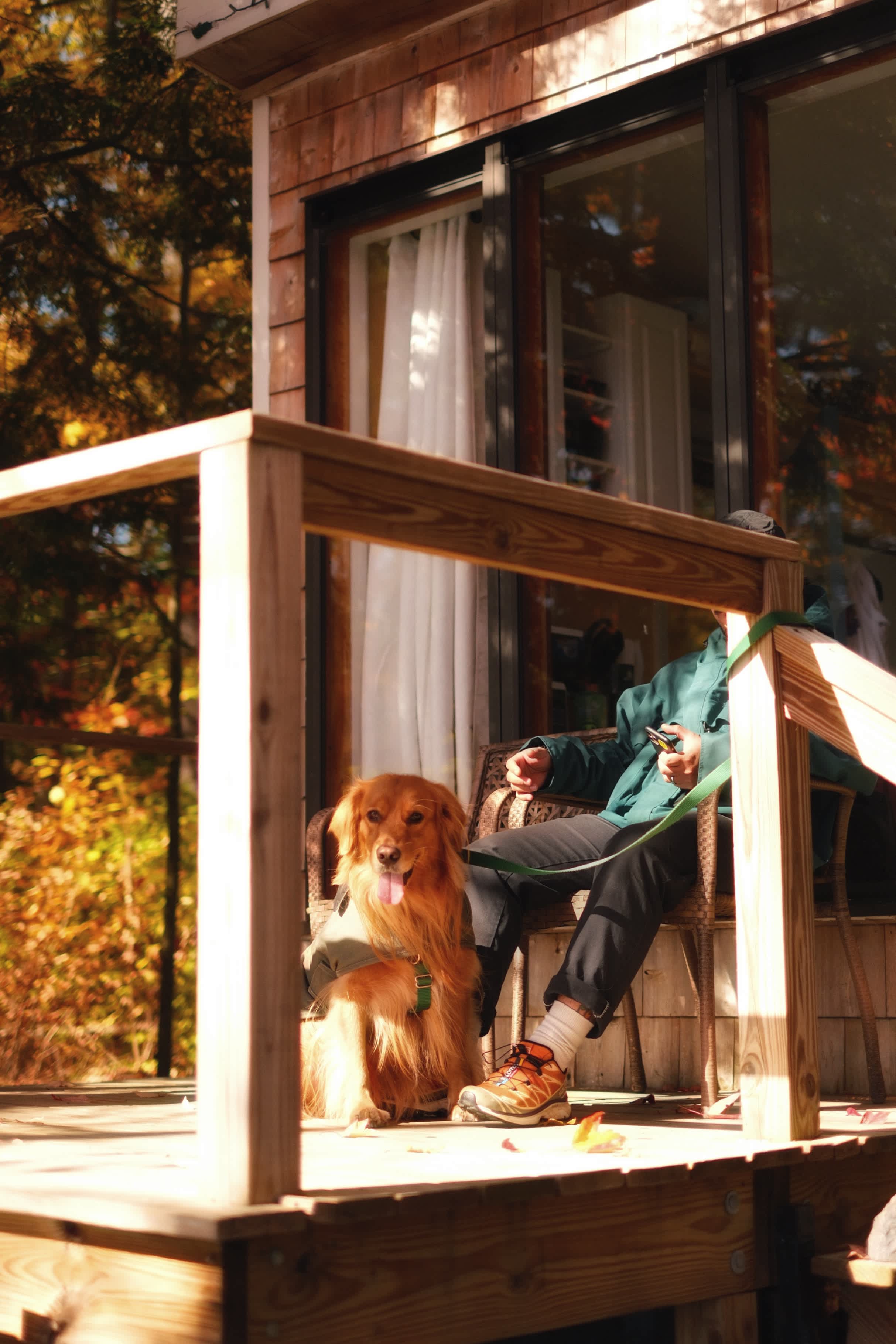 Waterfront Woodsy Glamping