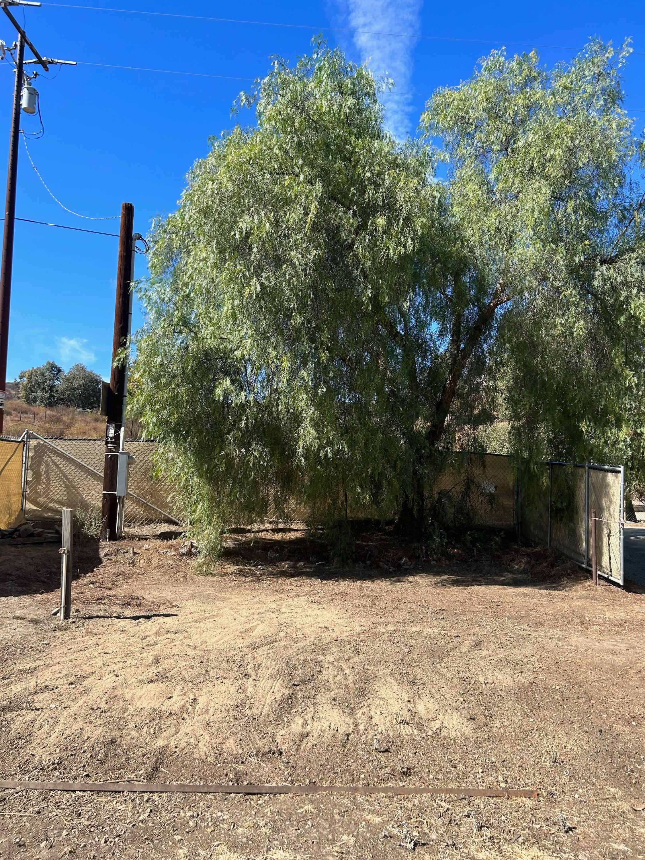 Wild Seeds Ranch