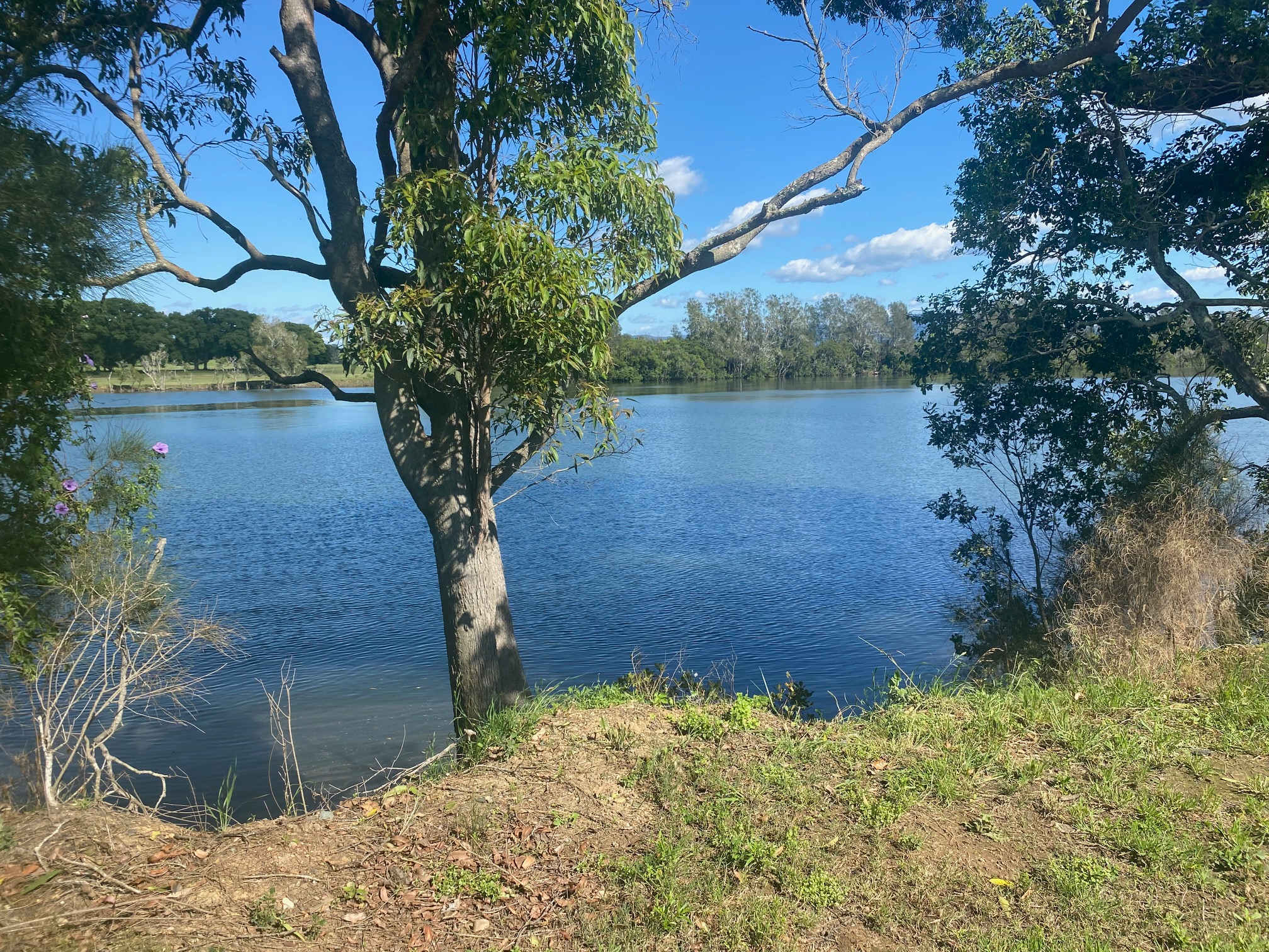 The Riverbank