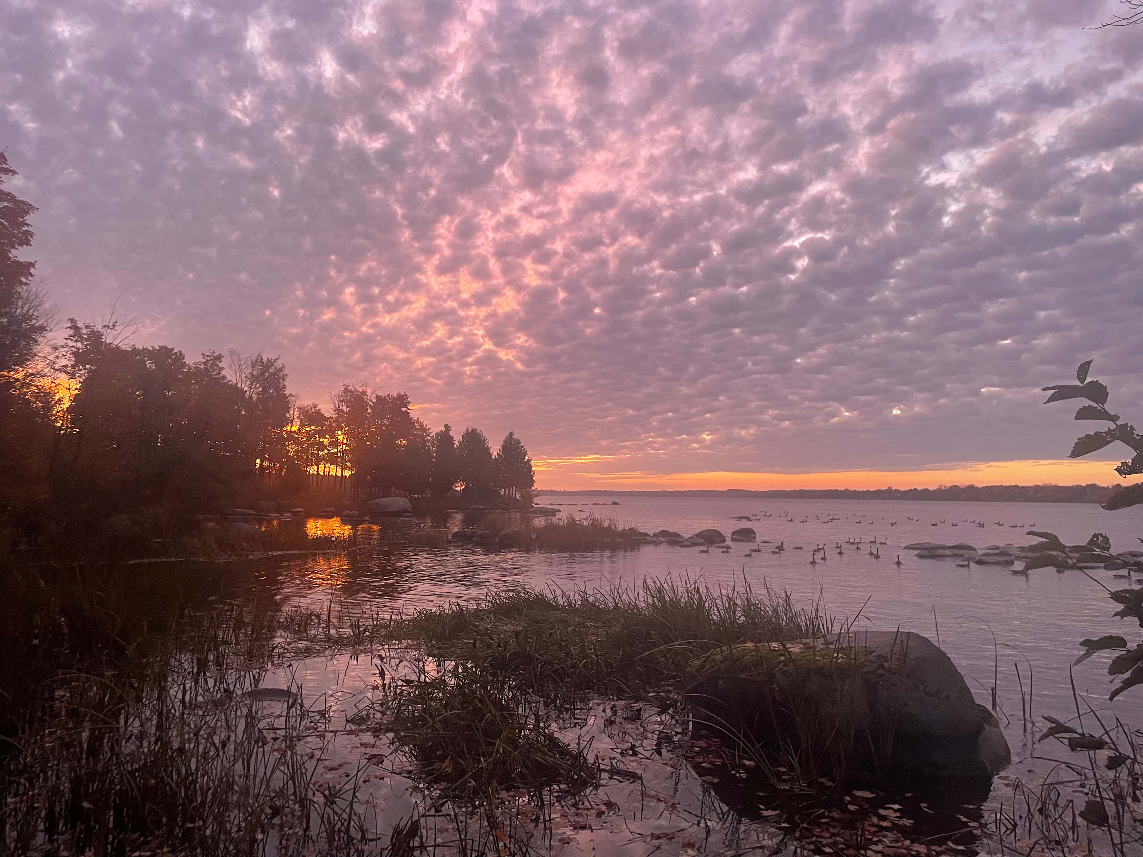 Camp, Ottawa river, Grenville C-O-G