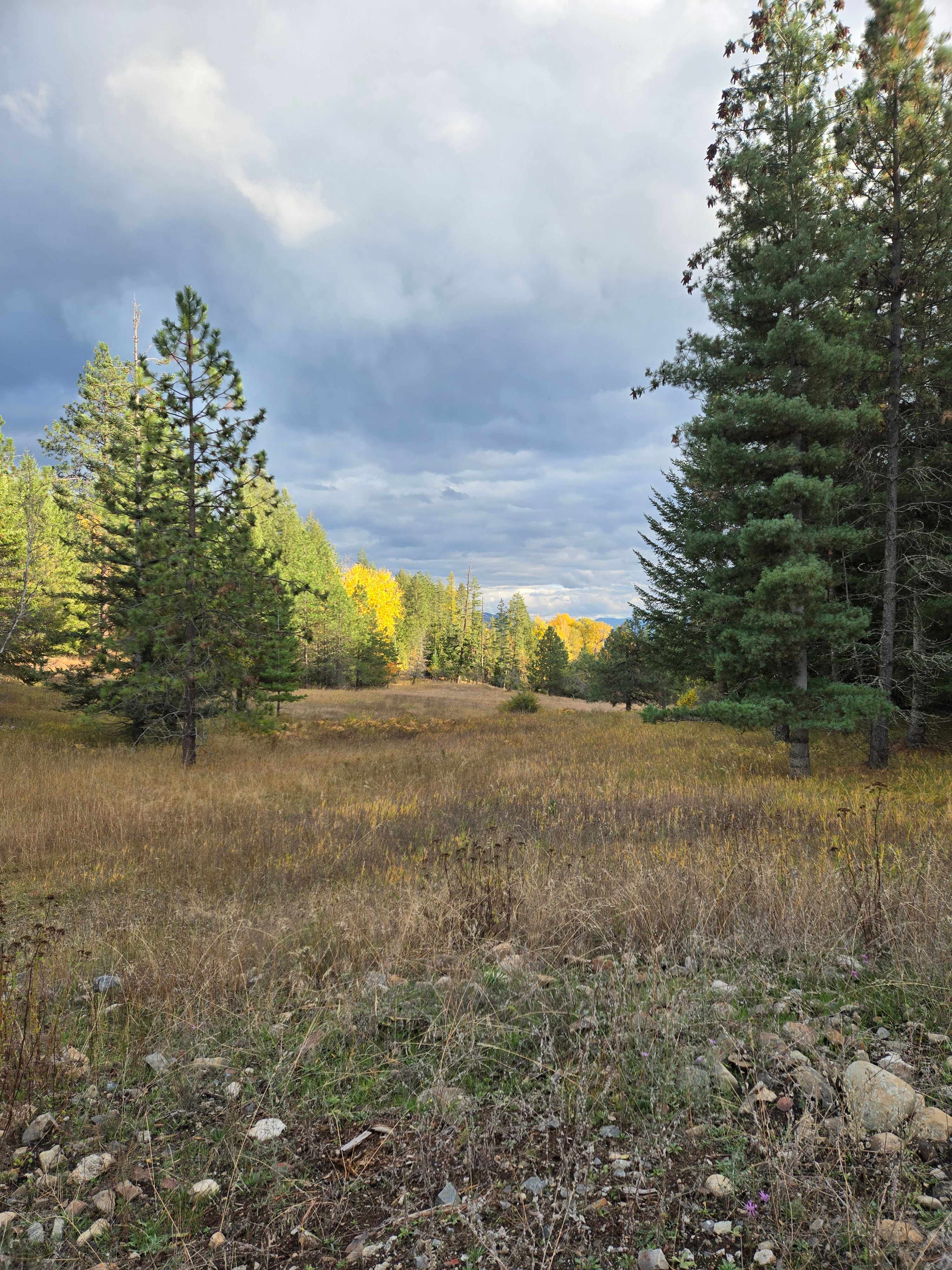 A walk near the property.