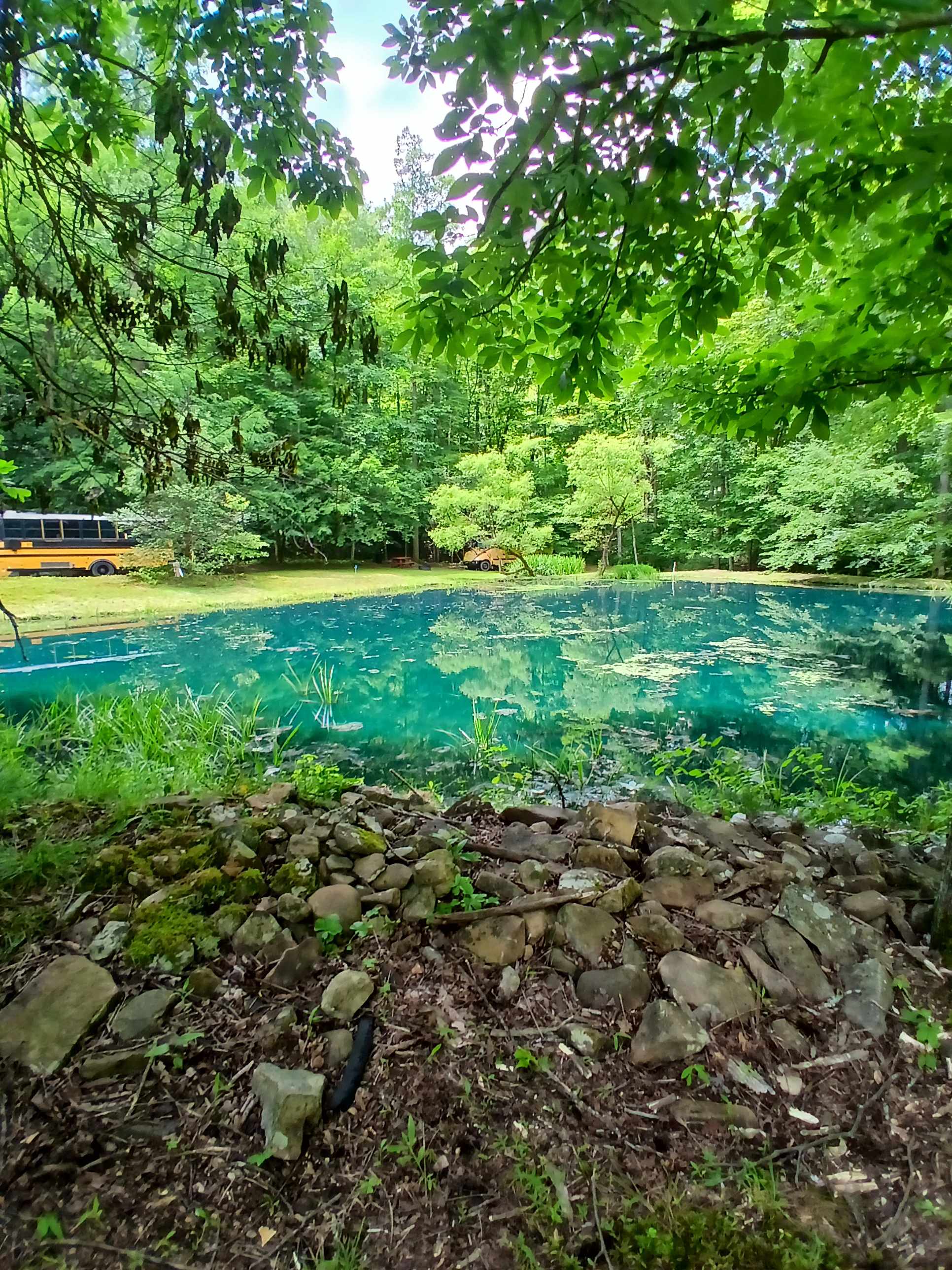 Wild Wonderful Skoolies And Camping