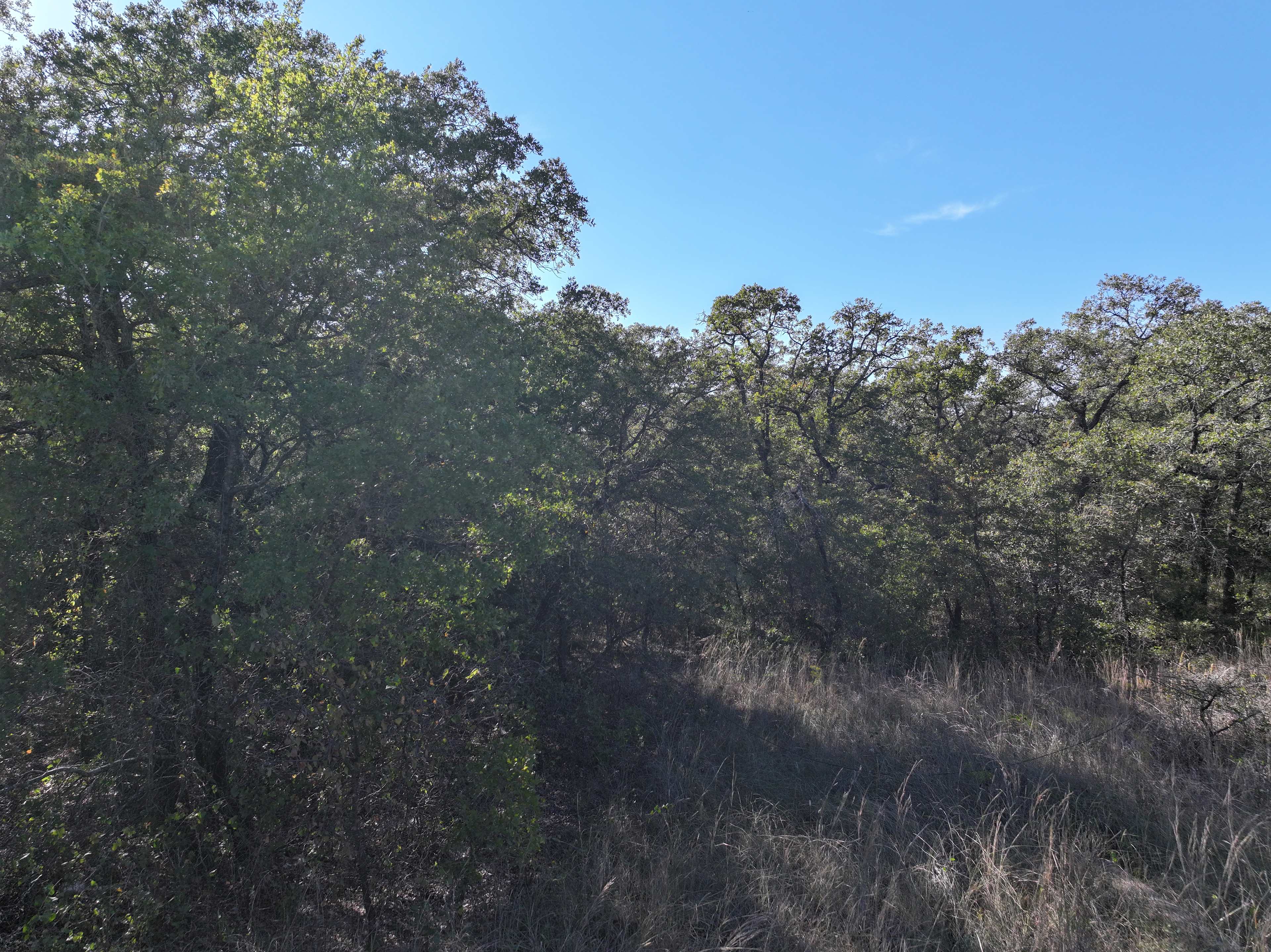 In The Heart Of Texas