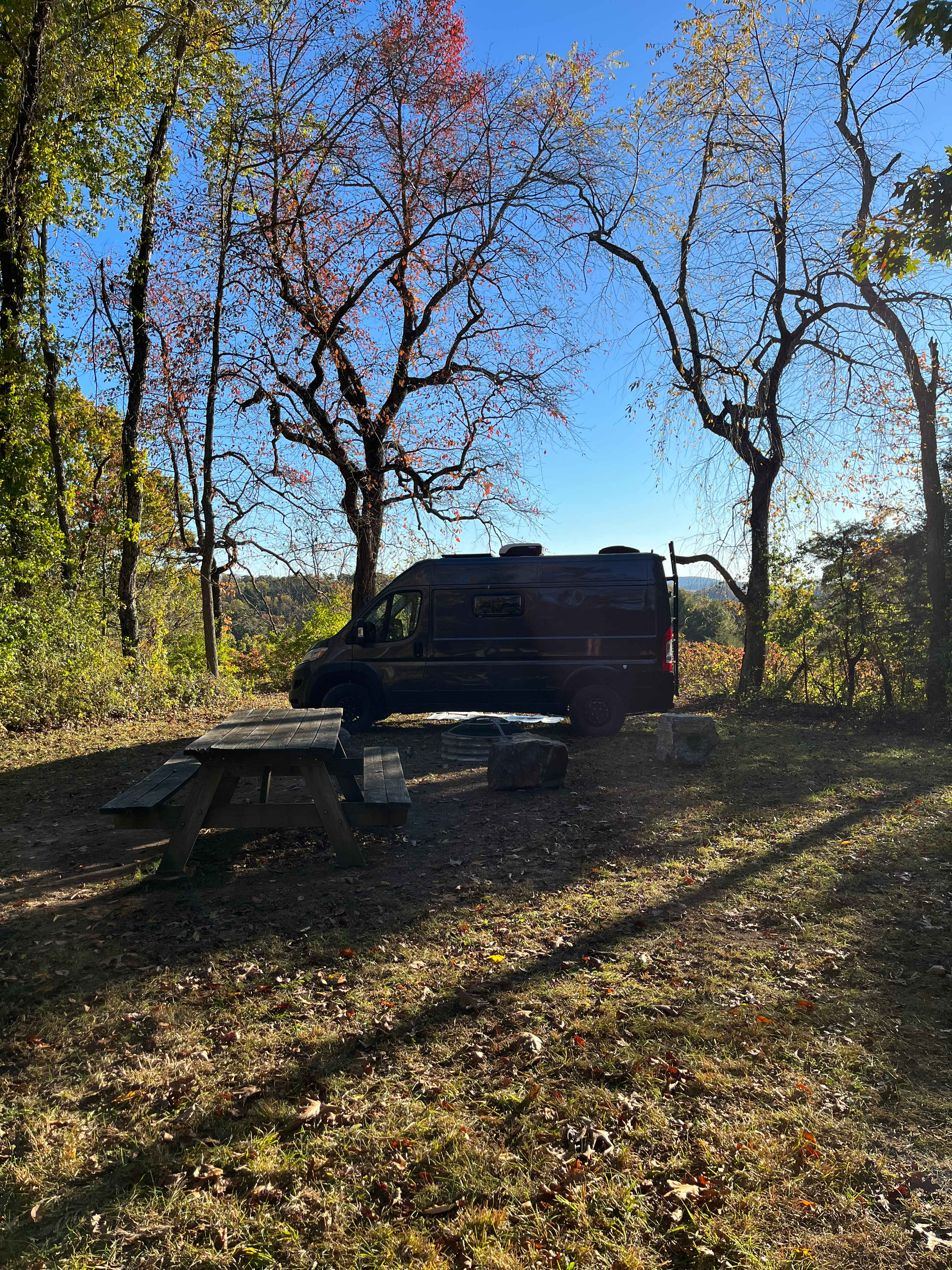 Picture of the site