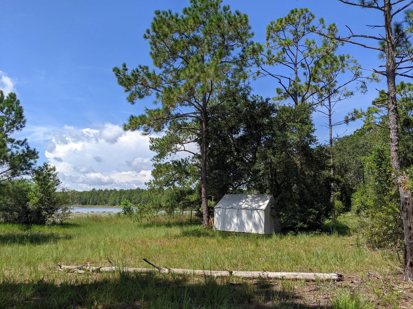 Windy Pines