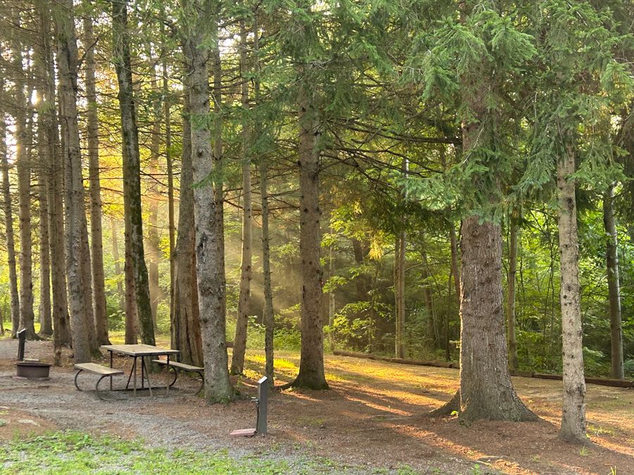 Rustic Acres - Elevated RV Camping
