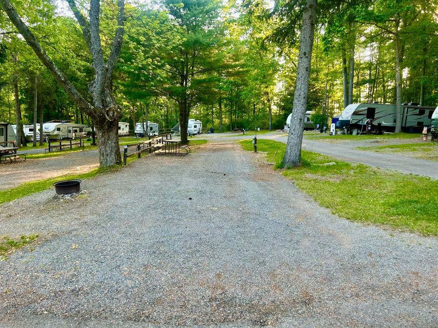 Forest Camping with Modern Comfort