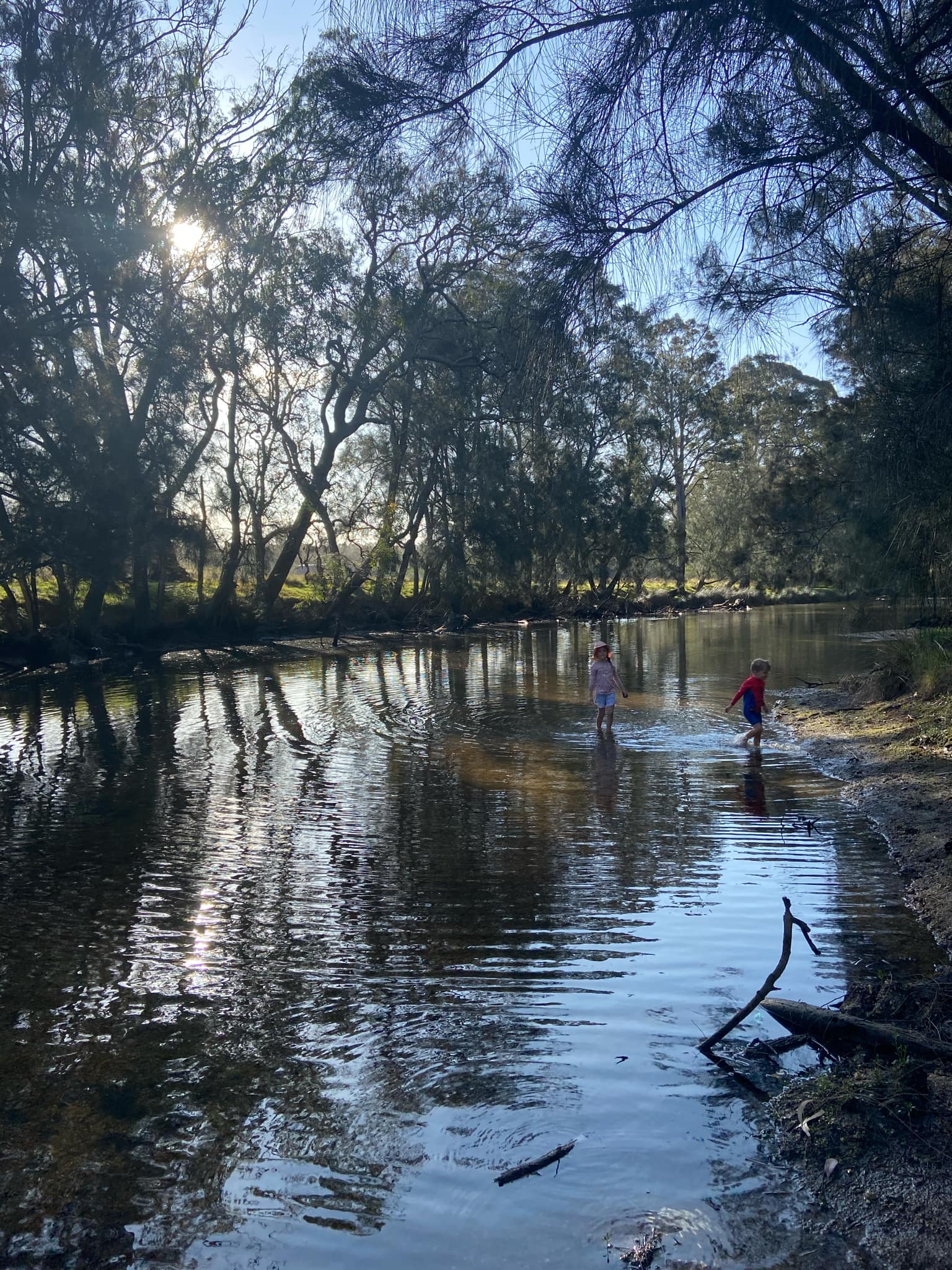 Tidal creek on property.
